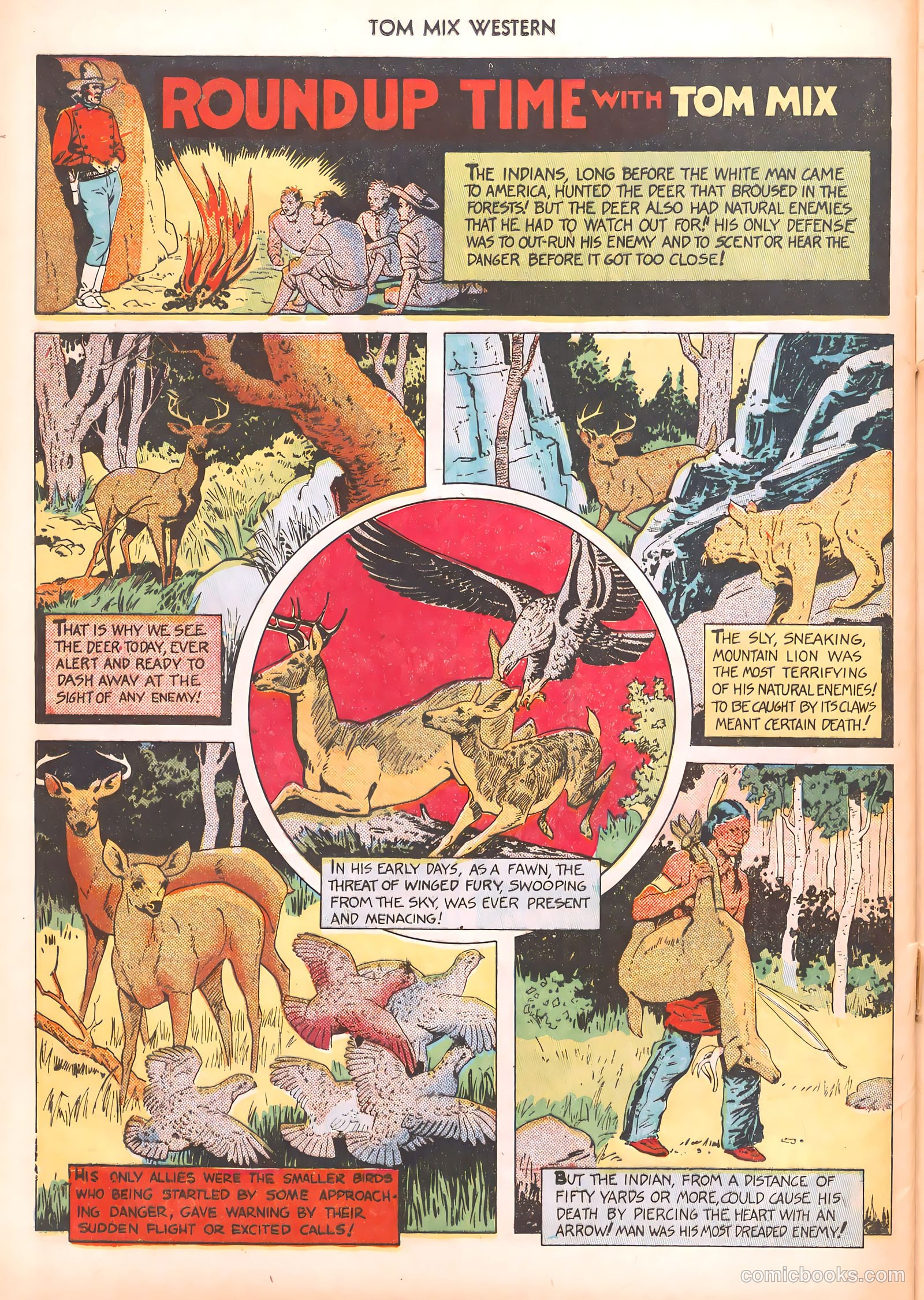 Tom Mix Western #40 (1951) — page 40 of 52