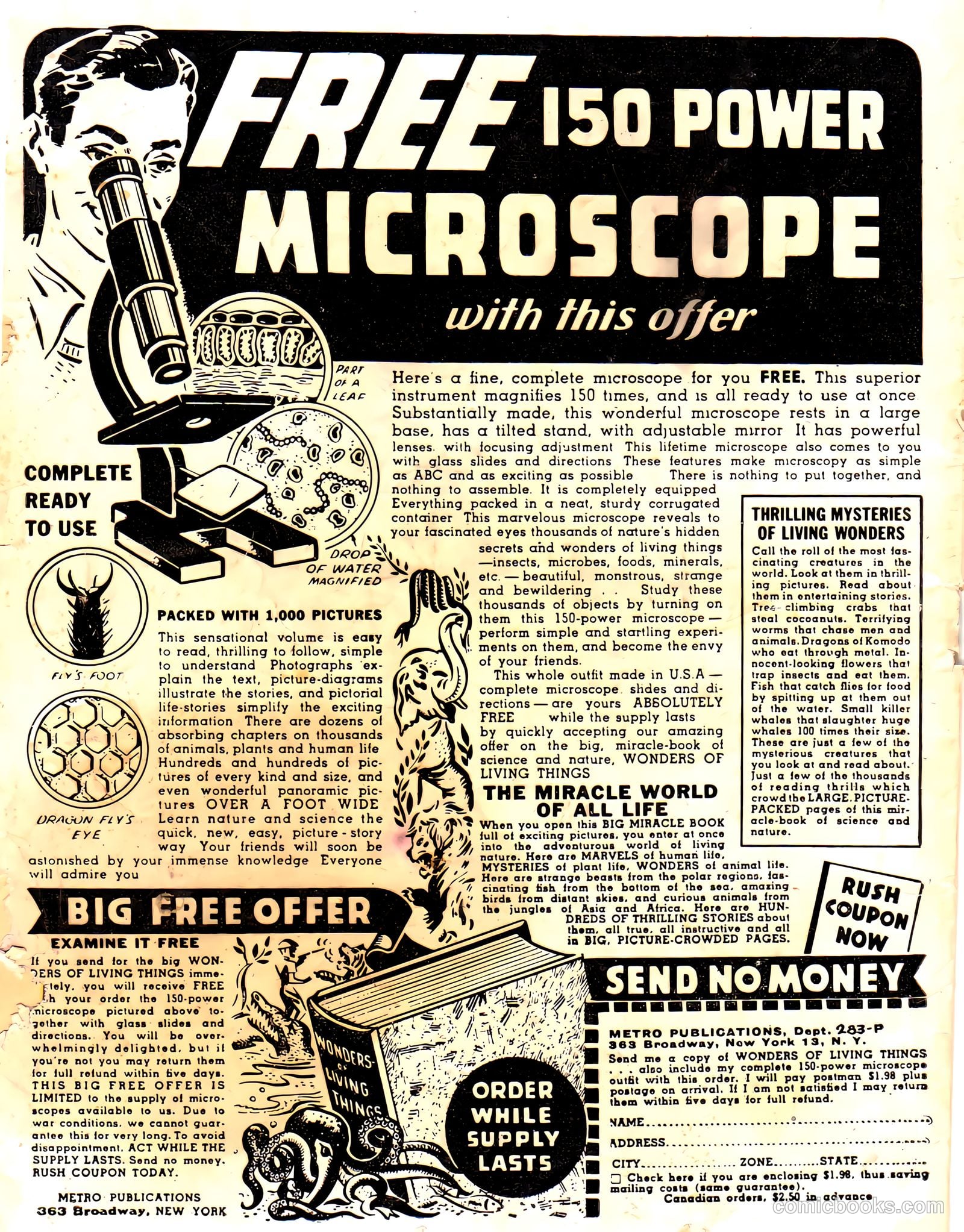 Top Spot Comics #1 (1945) — page 36 of 36