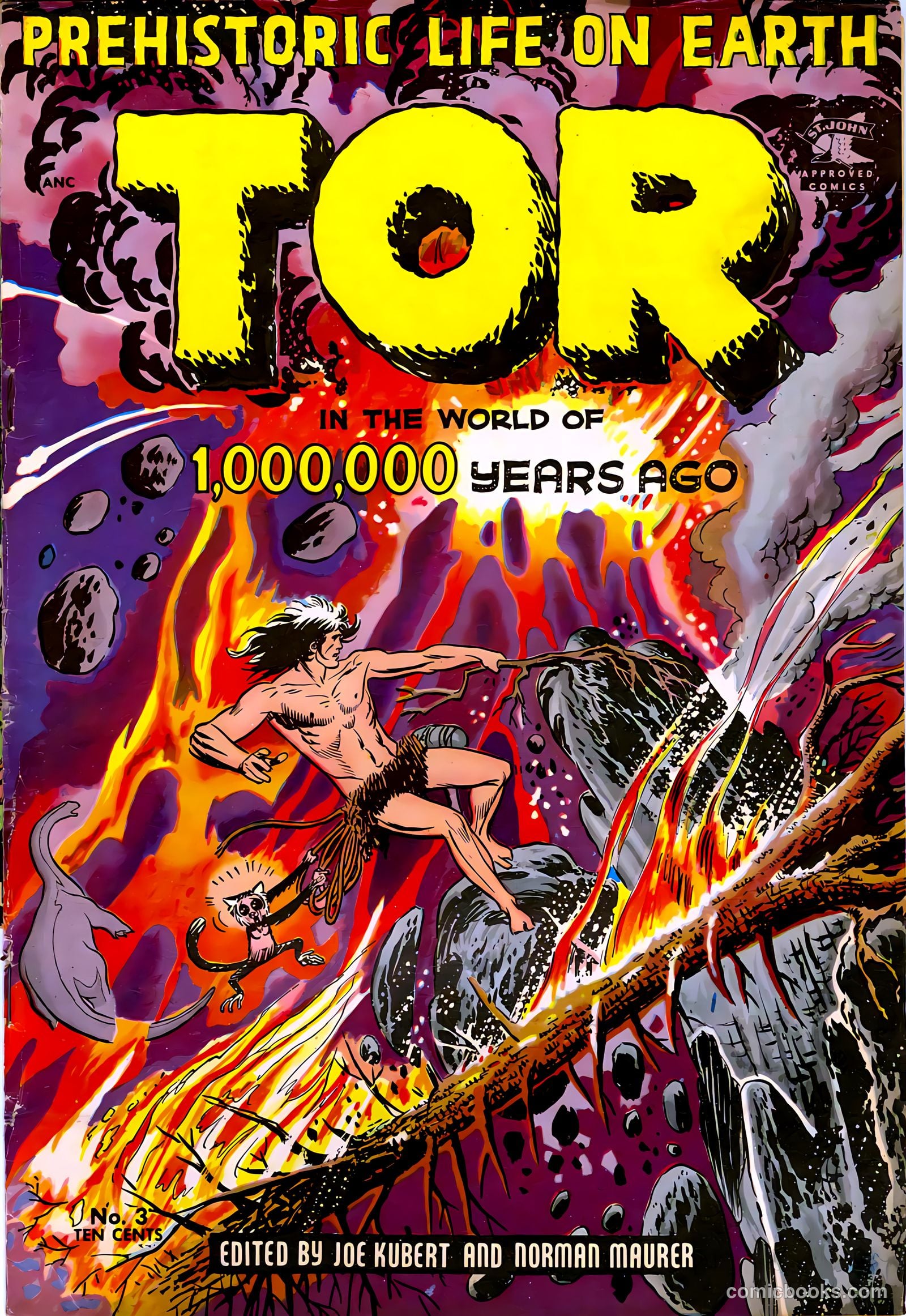 Tor #3