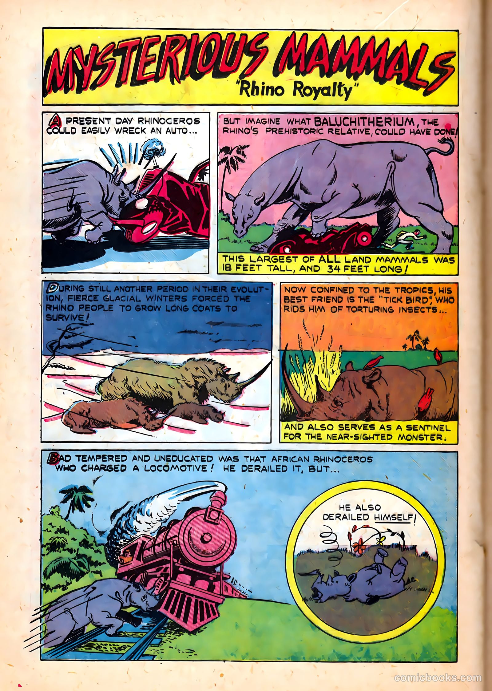Treasure Comics #5 (1946) — page 28 of 52