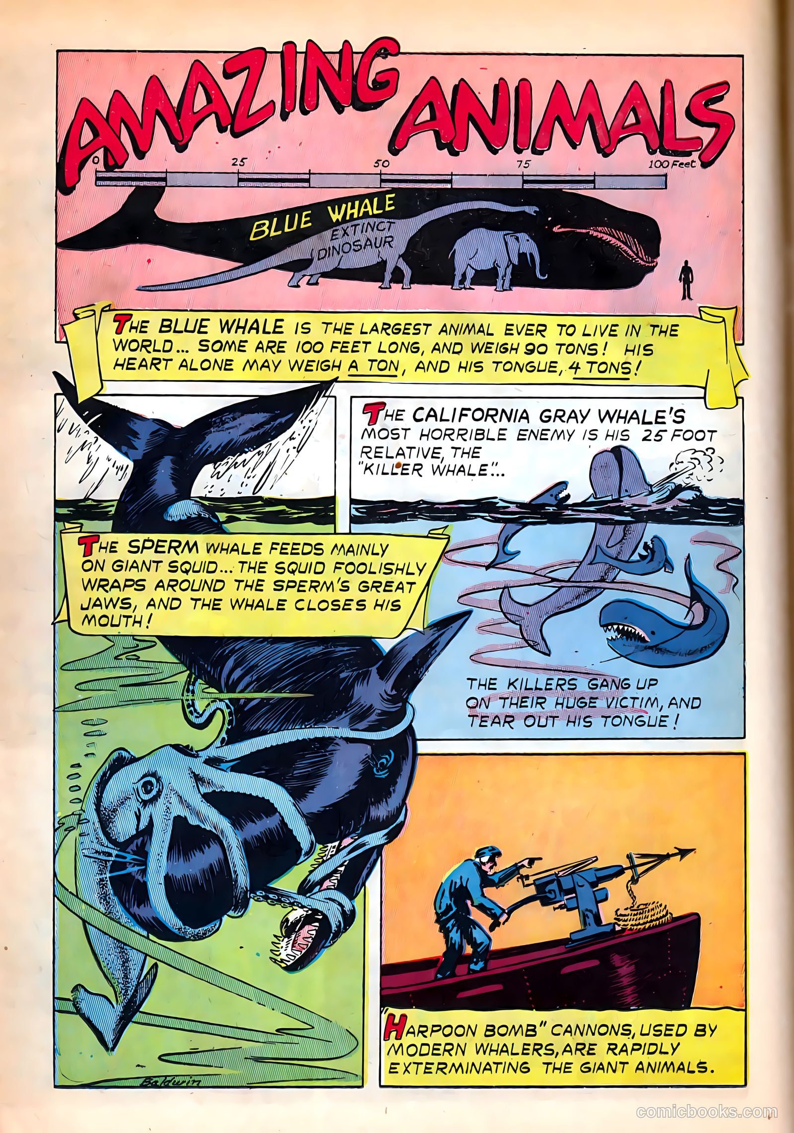 Treasure Comics #6 (1946) — page 18 of 52