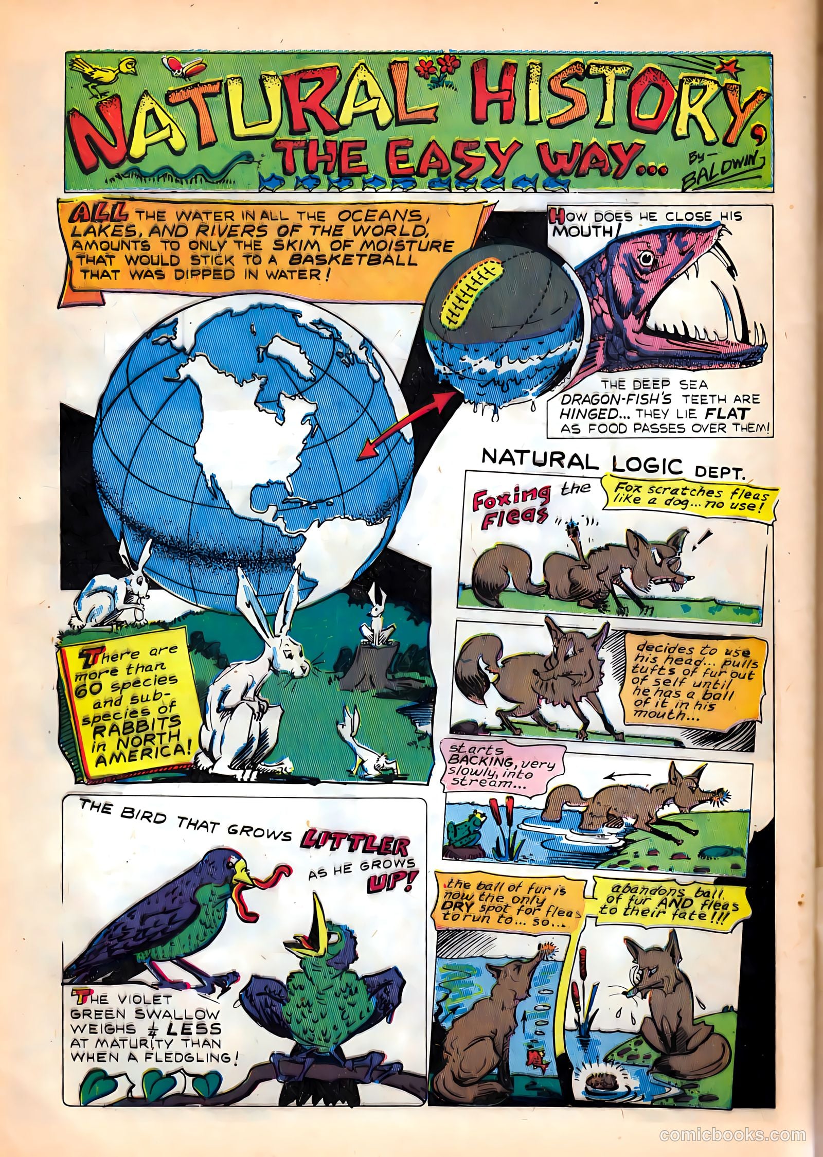 Treasure Comics #6 (1946) — page 40 of 52