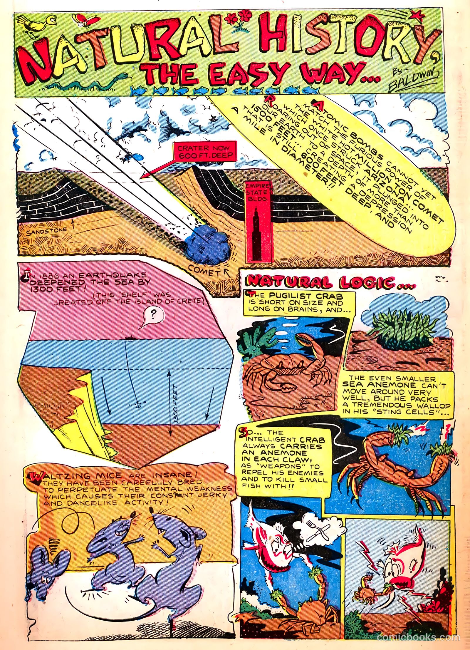 Treasure Comics #7 (1946) — page 11 of 52