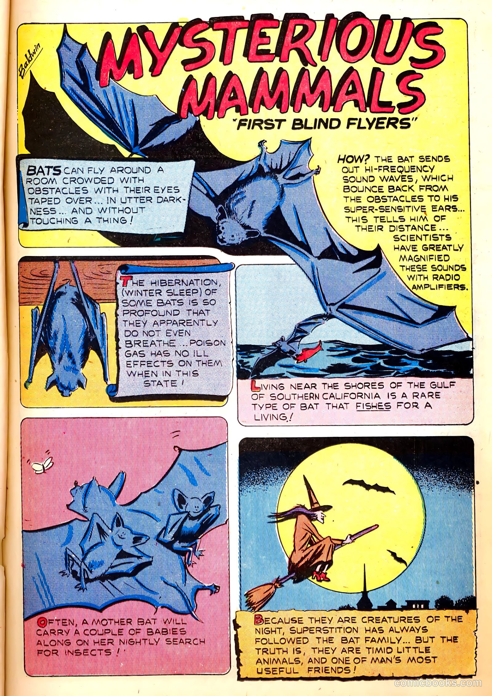 Treasure Comics #7 (1946) — page 29 of 52