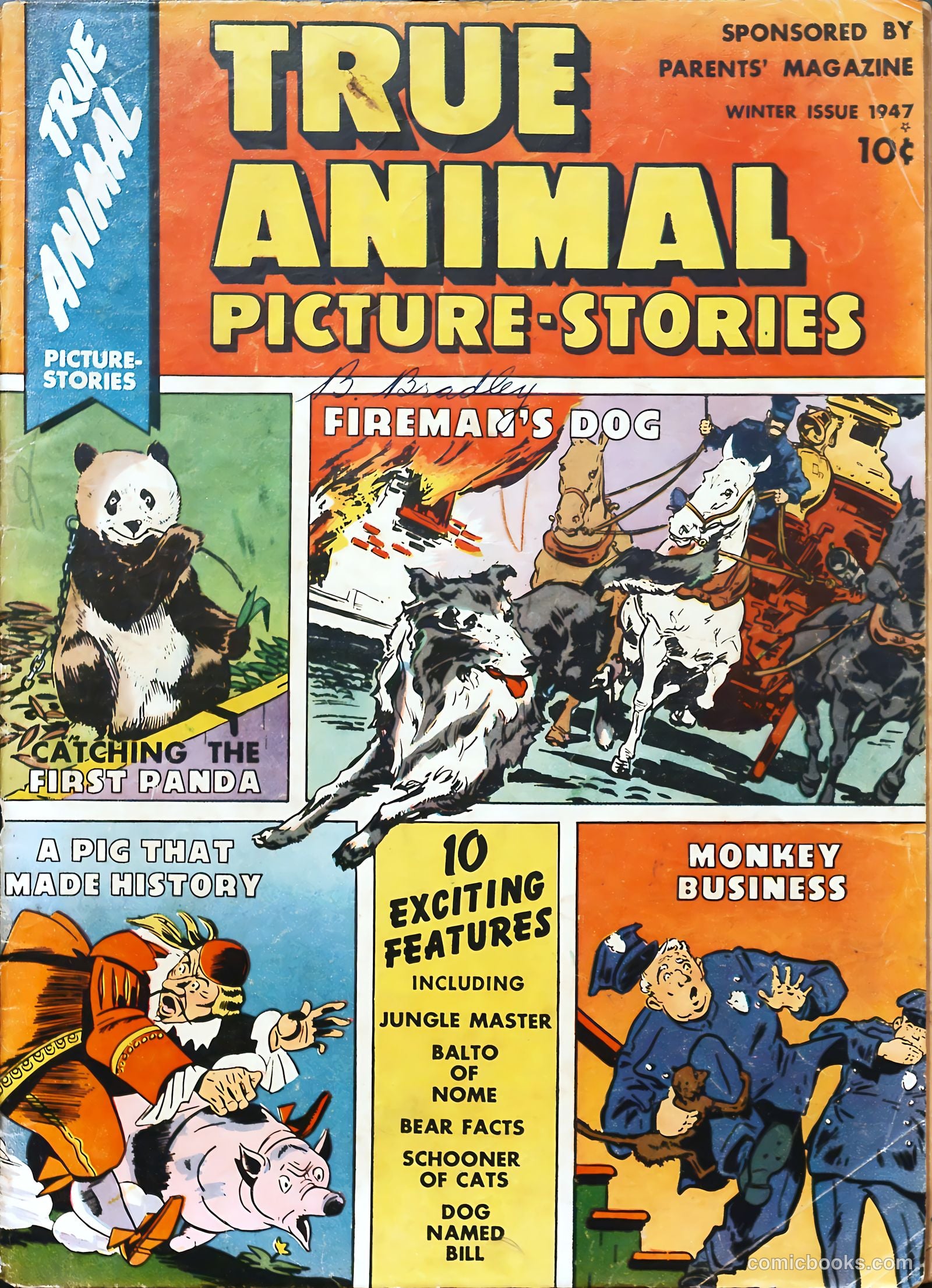 True Animal Picture-Stories #1