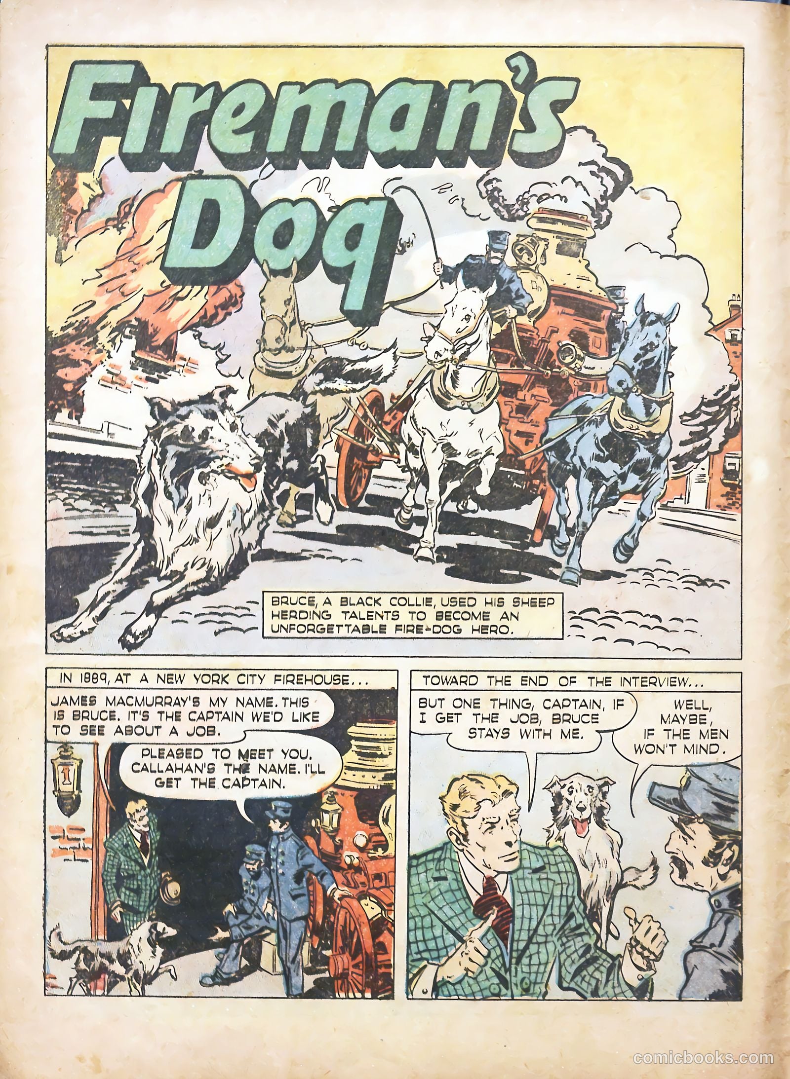 True Animal Picture-Stories #1 (1947) — page 6 of 37