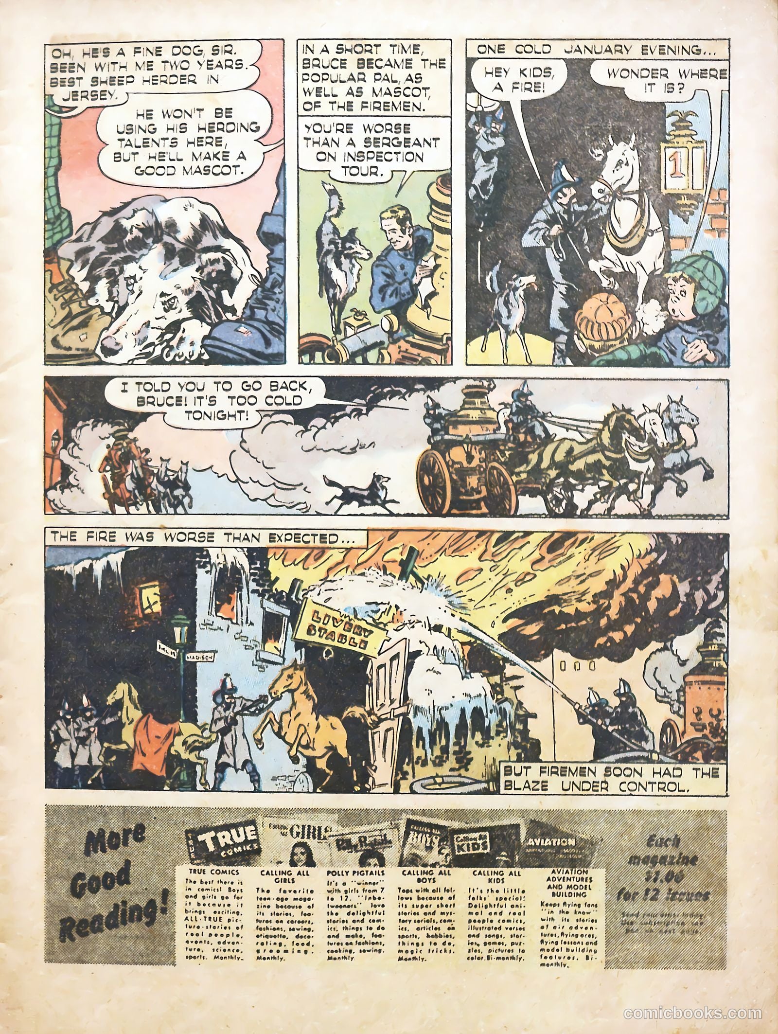 True Animal Picture-Stories #1 (1947) — page 7 of 37