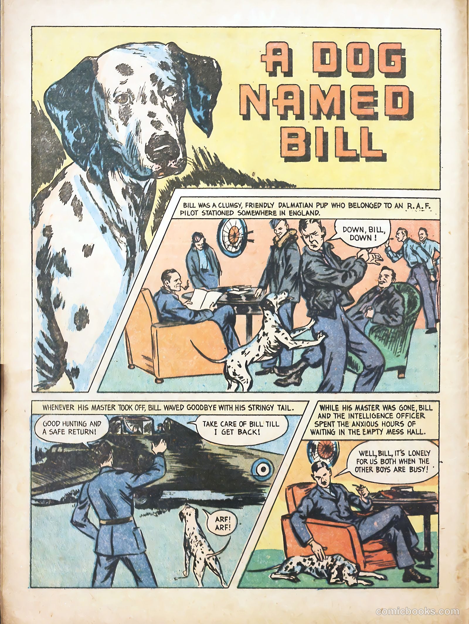 True Animal Picture-Stories #1 (1947) — page 14 of 37