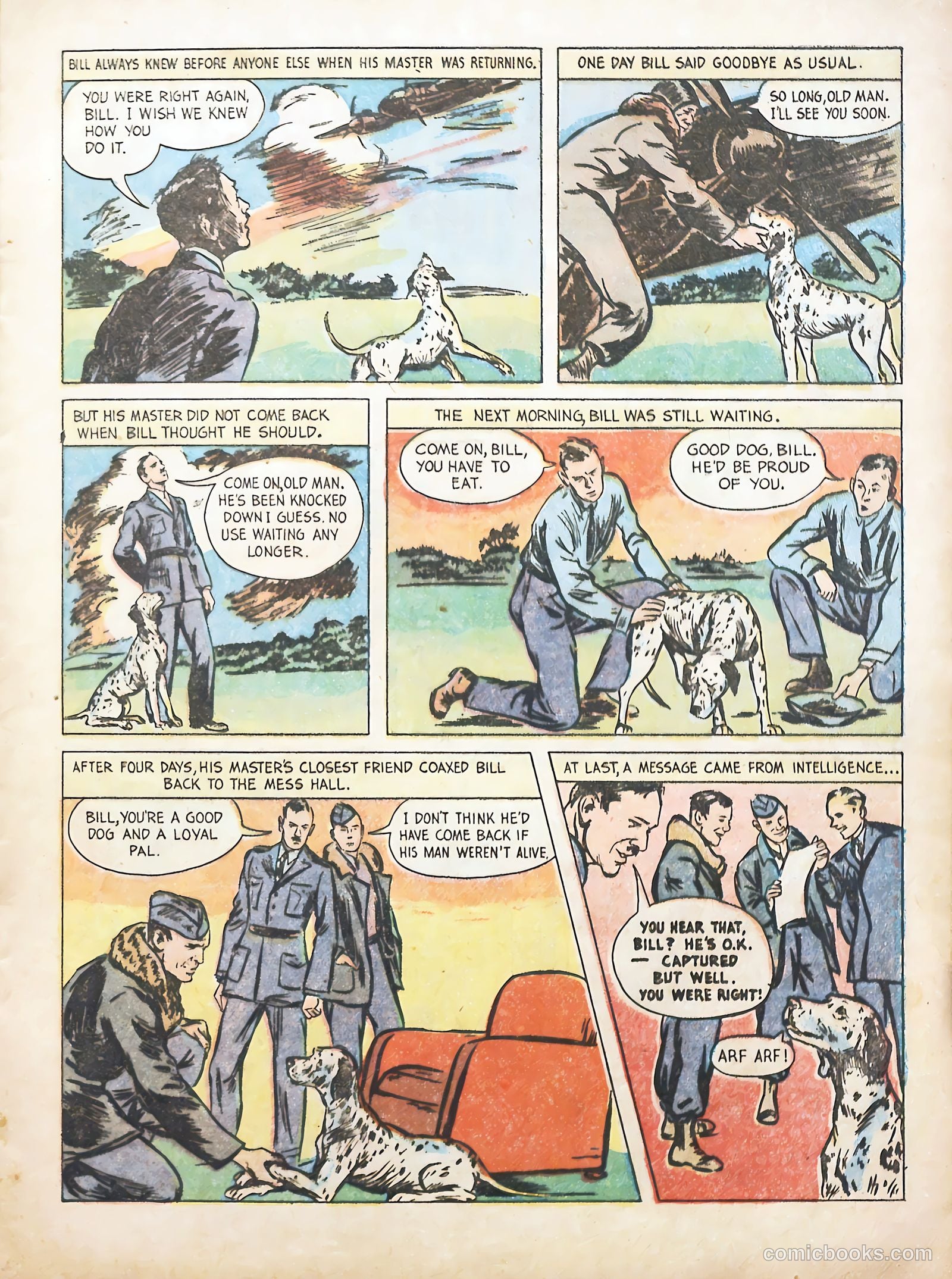 True Animal Picture-Stories #1 (1947) — page 15 of 37