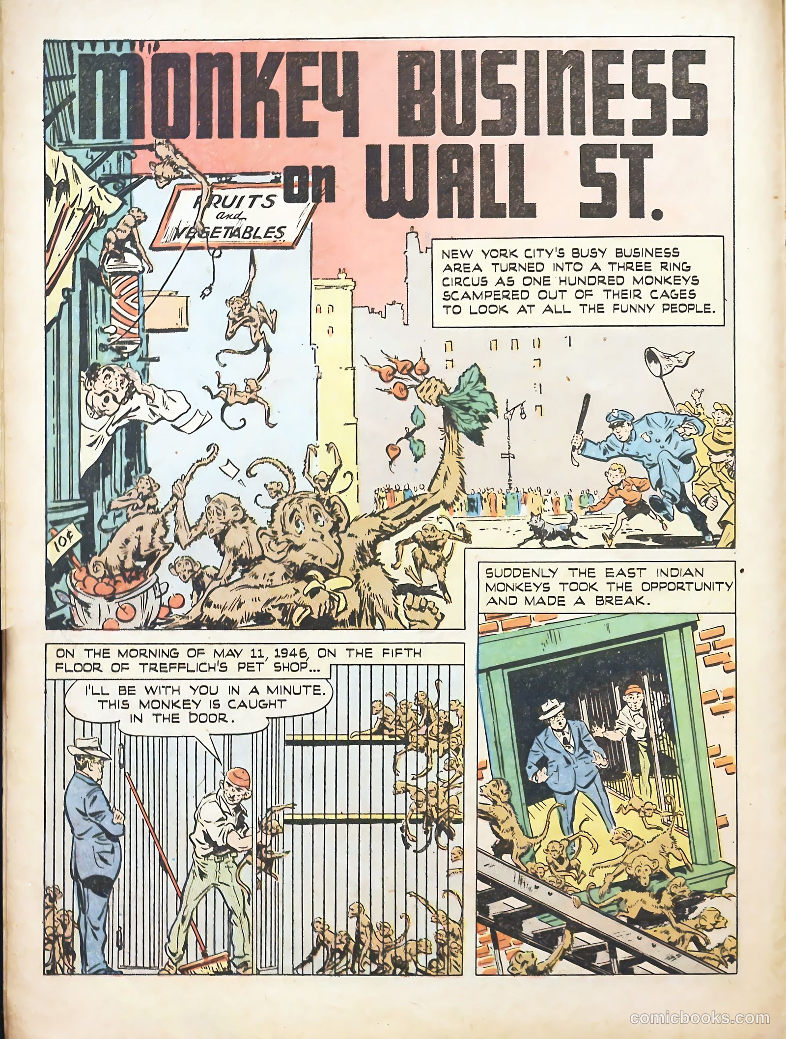 True Animal Picture-Stories #1 (1947) — page 16 of 37