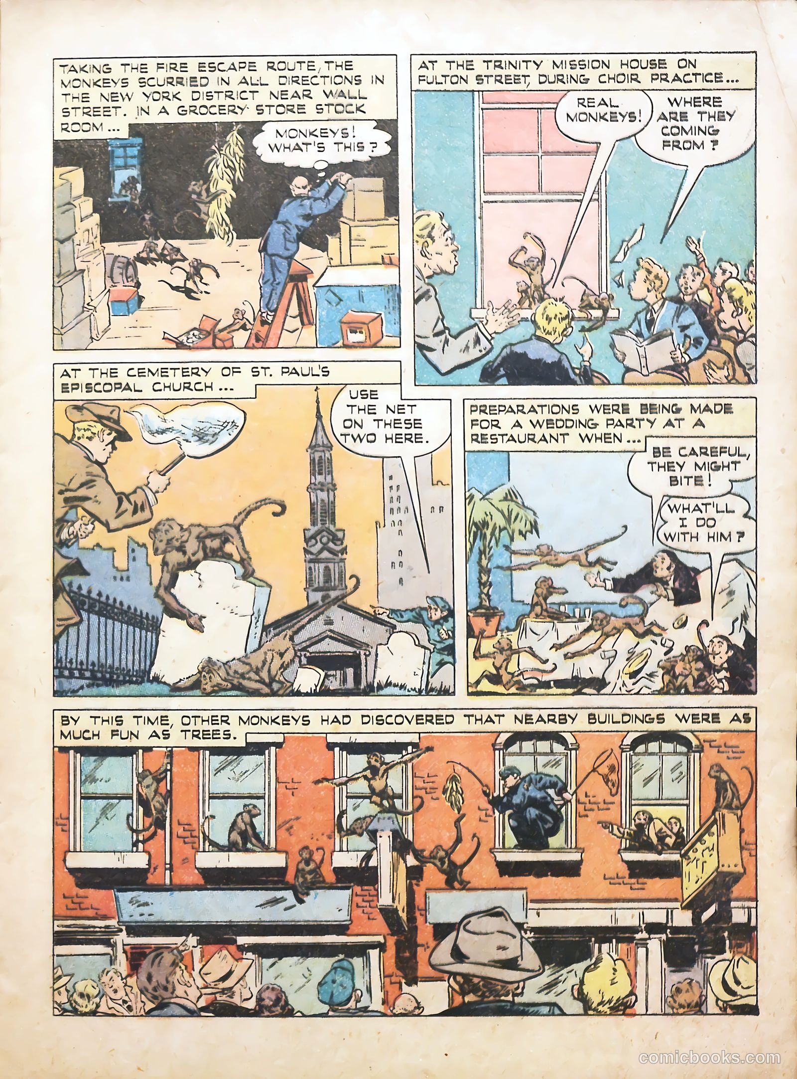 True Animal Picture-Stories #1 (1947) — page 17 of 37