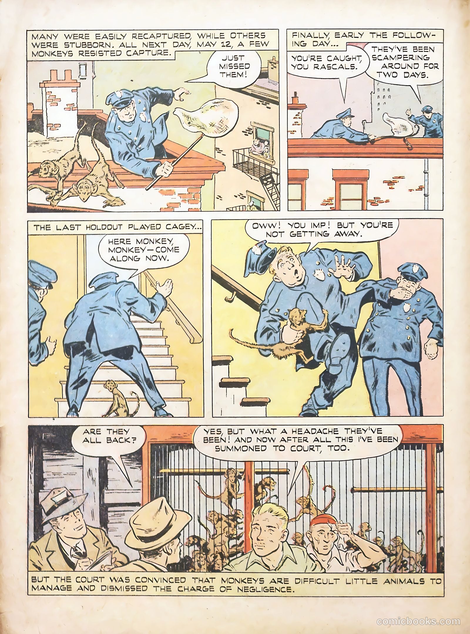 True Animal Picture-Stories #1 (1947) — page 18 of 37