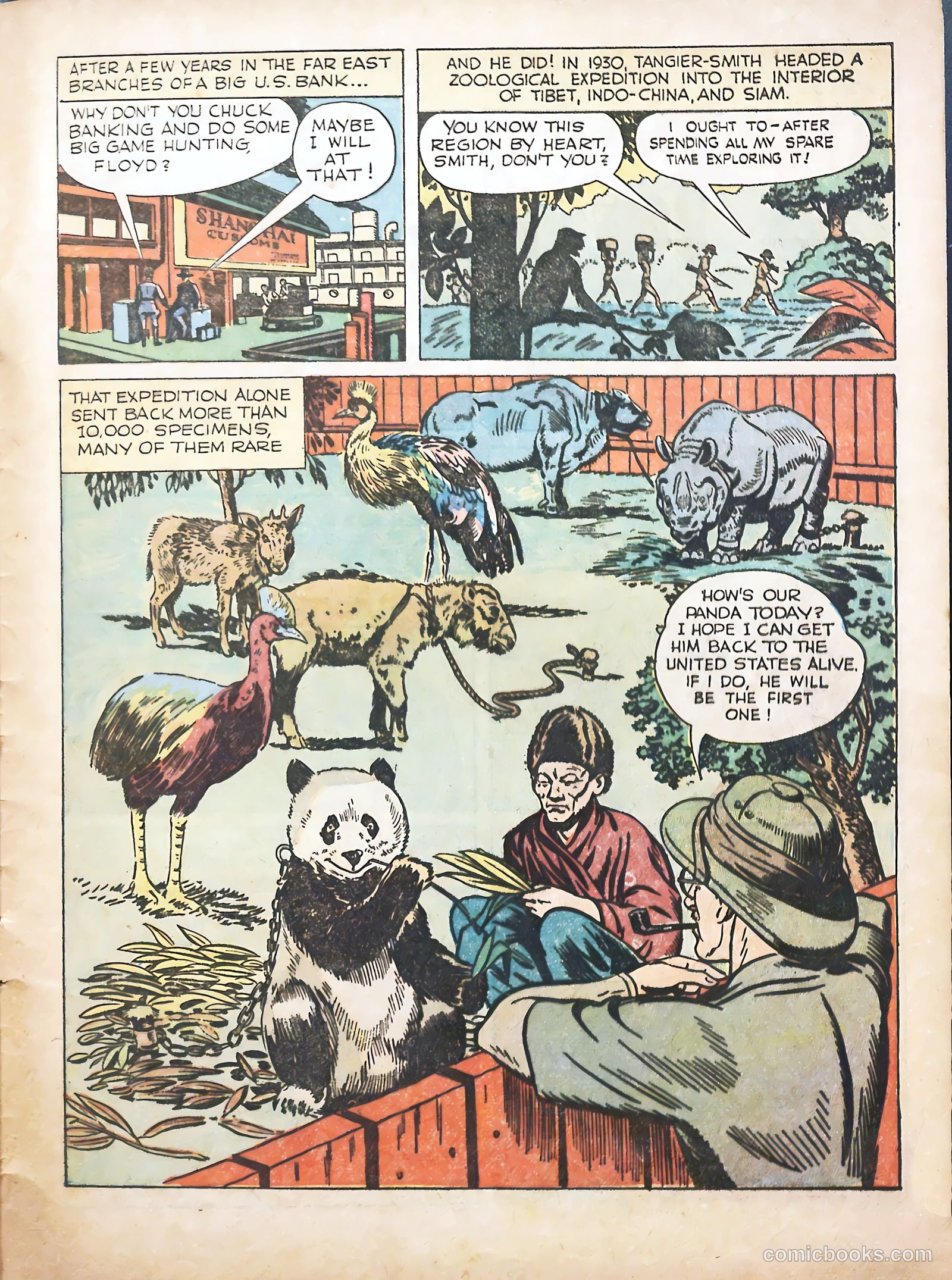 True Animal Picture-Stories #1 (1947) — page 31 of 37