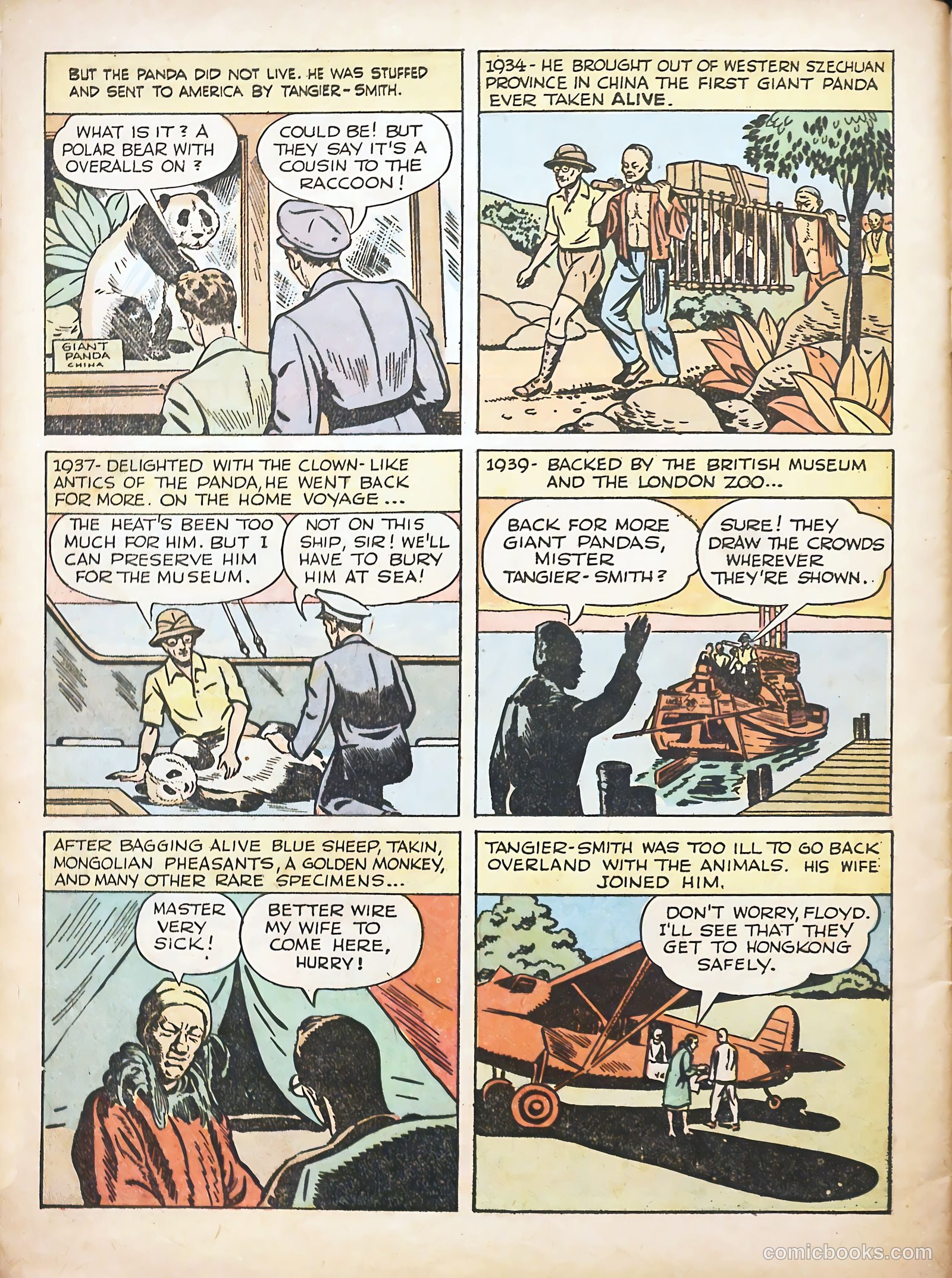 True Animal Picture-Stories #1 (1947) — page 32 of 37