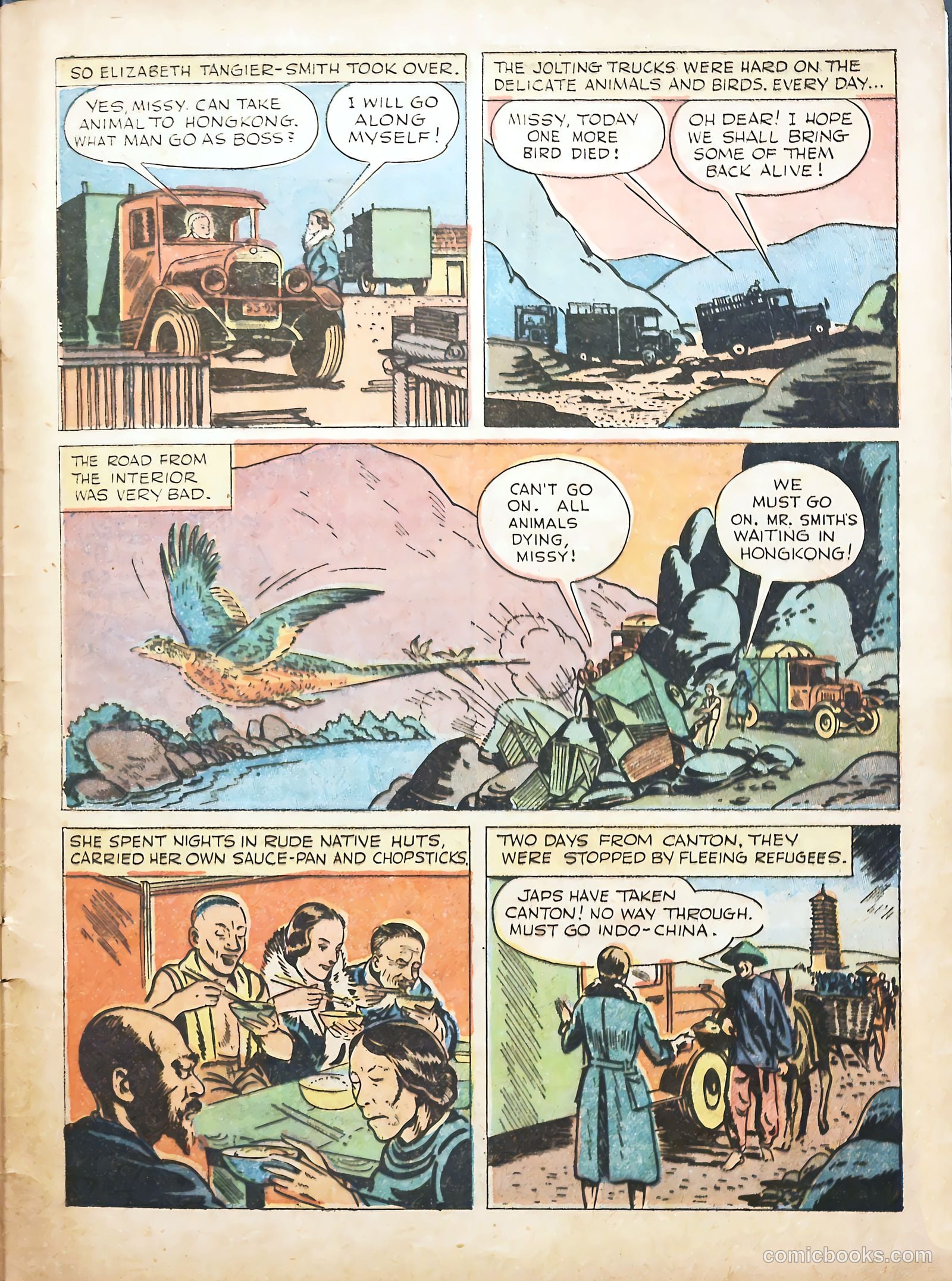 True Animal Picture-Stories #1 (1947) — page 33 of 37
