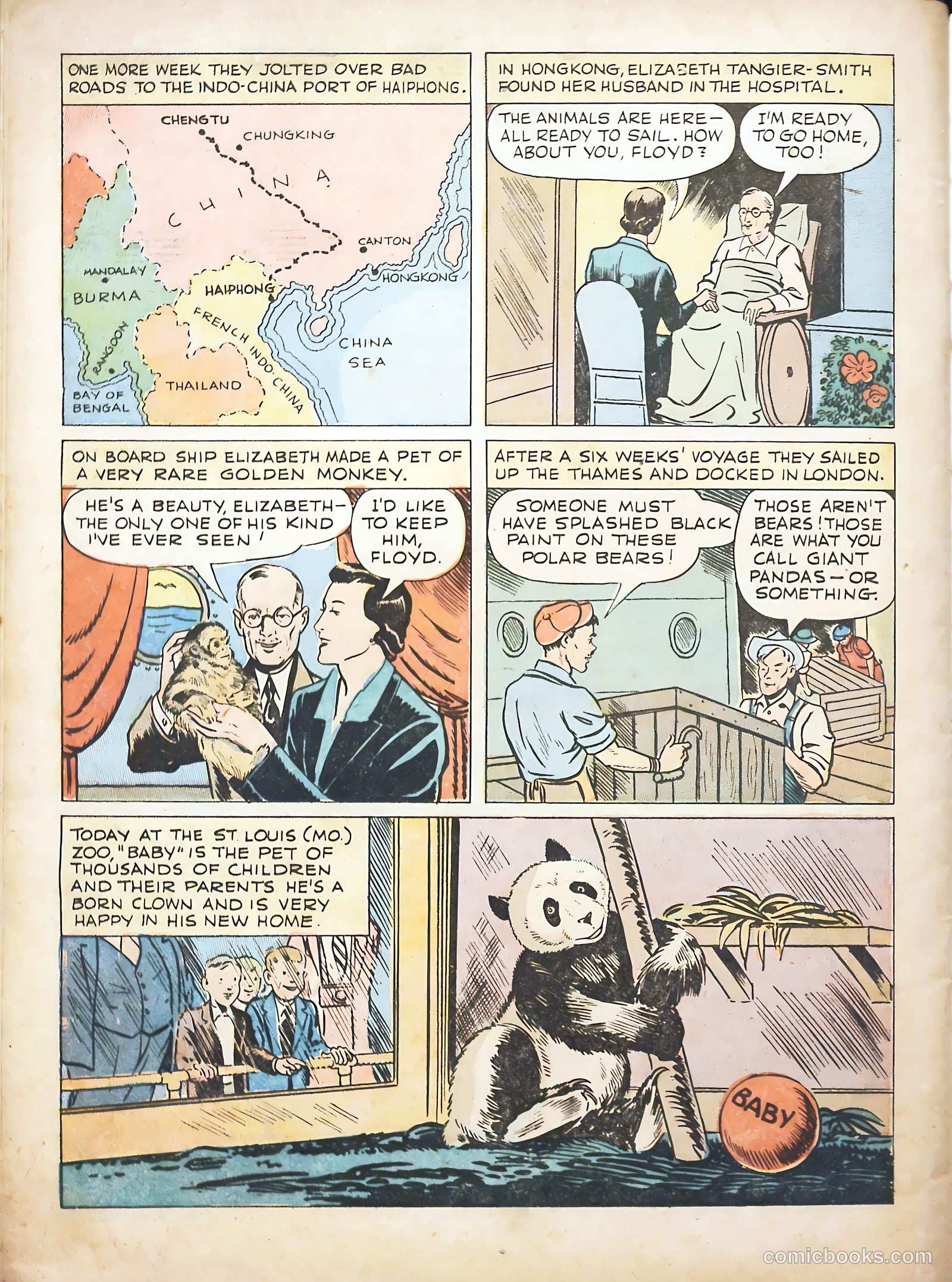 True Animal Picture-Stories #1 (1947) — page 34 of 37