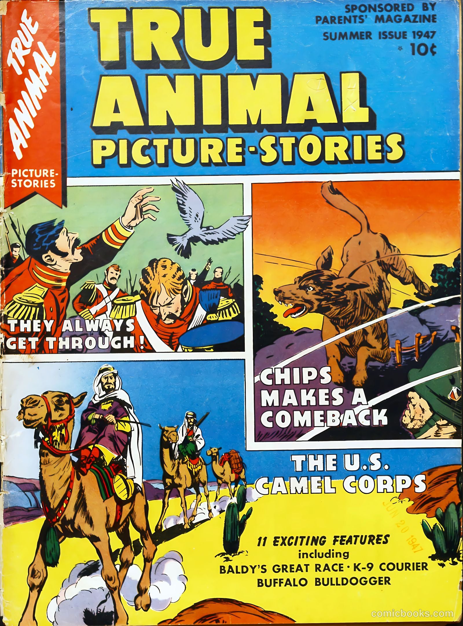 True Animal Picture-Stories #2