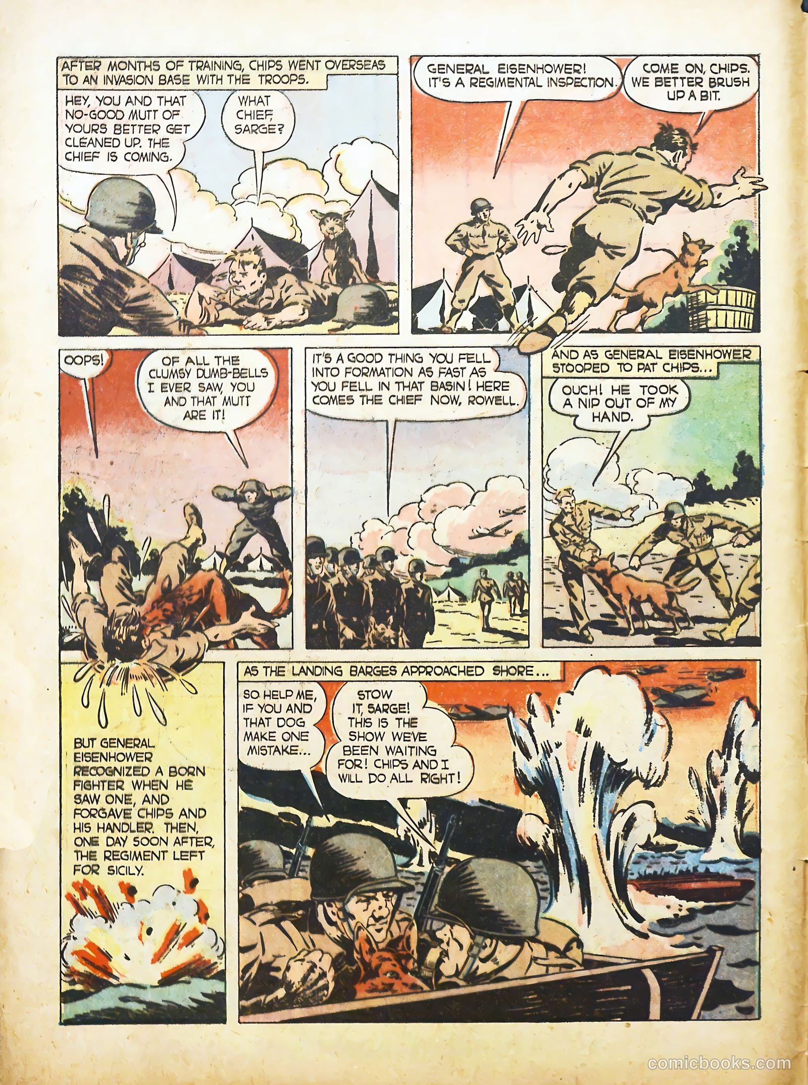 True Animal Picture-Stories #2 (1947) — page 4 of 35