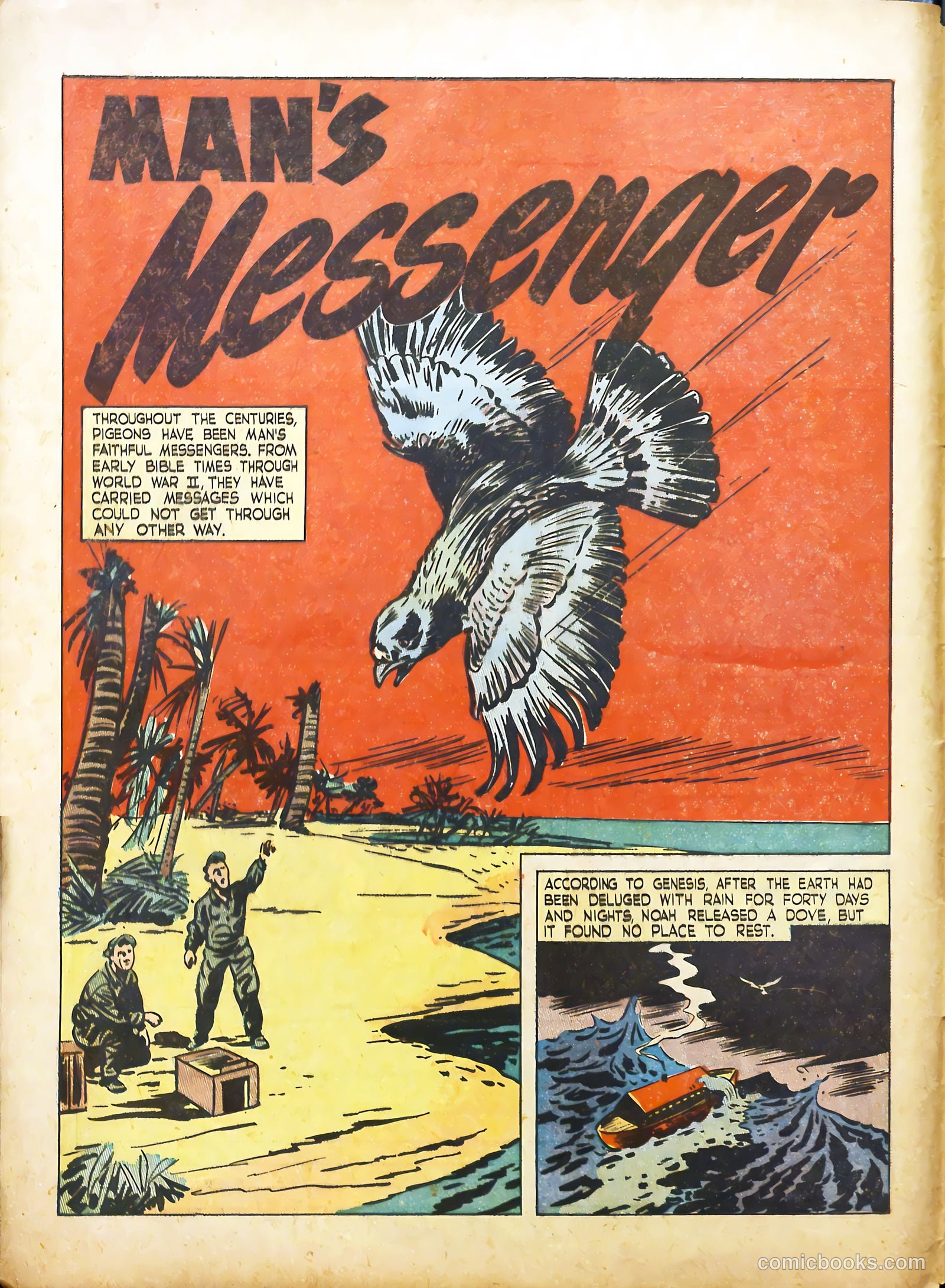 True Animal Picture-Stories #2 (1947) — page 6 of 35