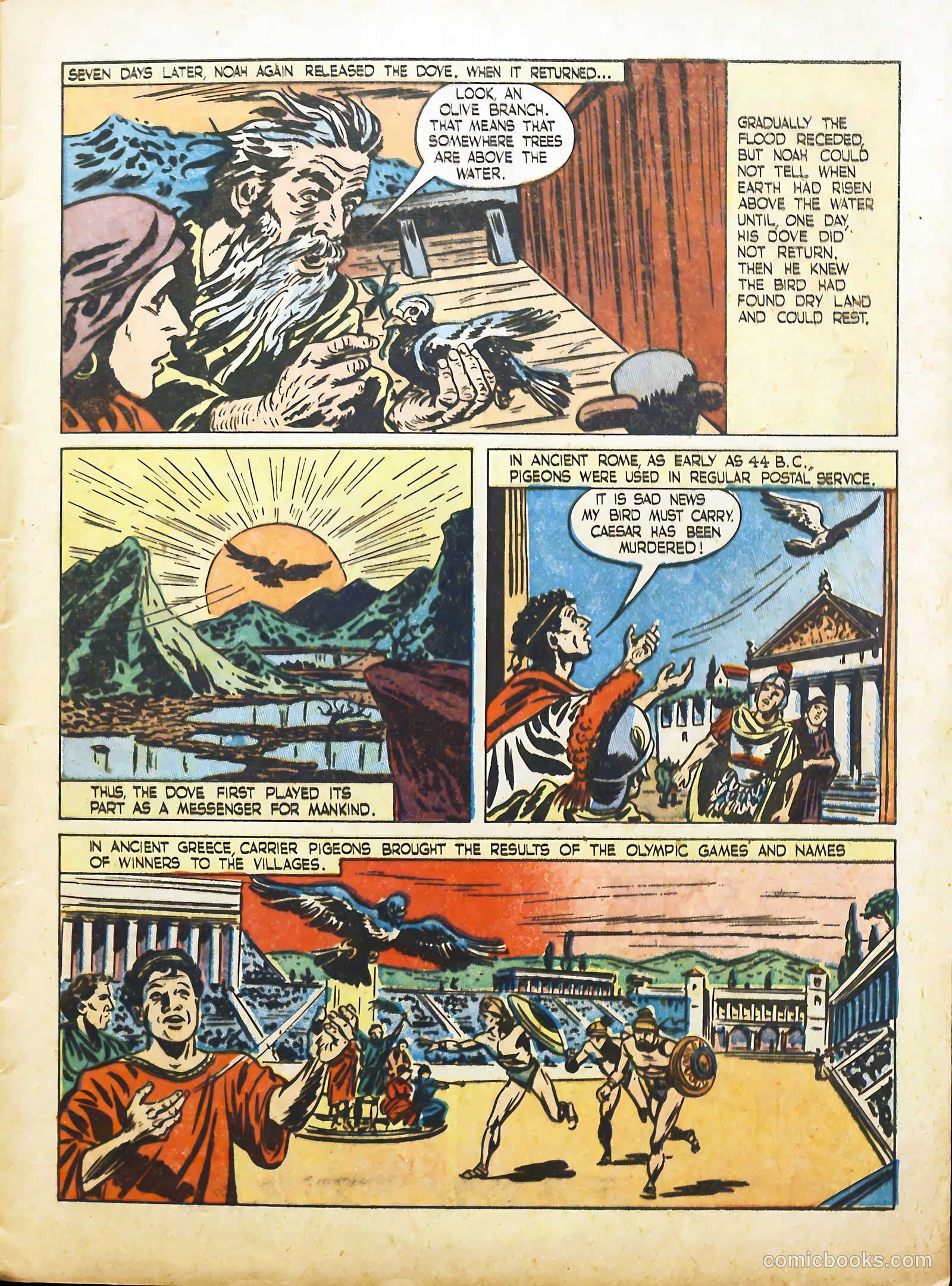 True Animal Picture-Stories #2 (1947) — page 7 of 35