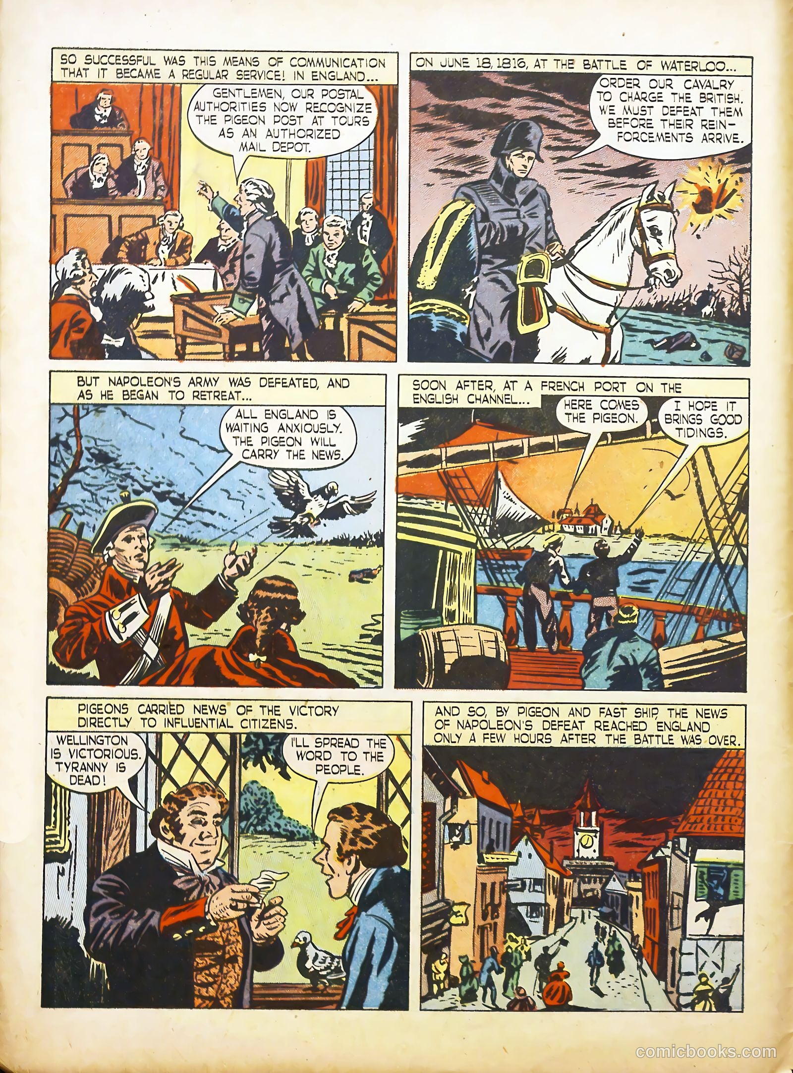 True Animal Picture-Stories #2 (1947) — page 8 of 35