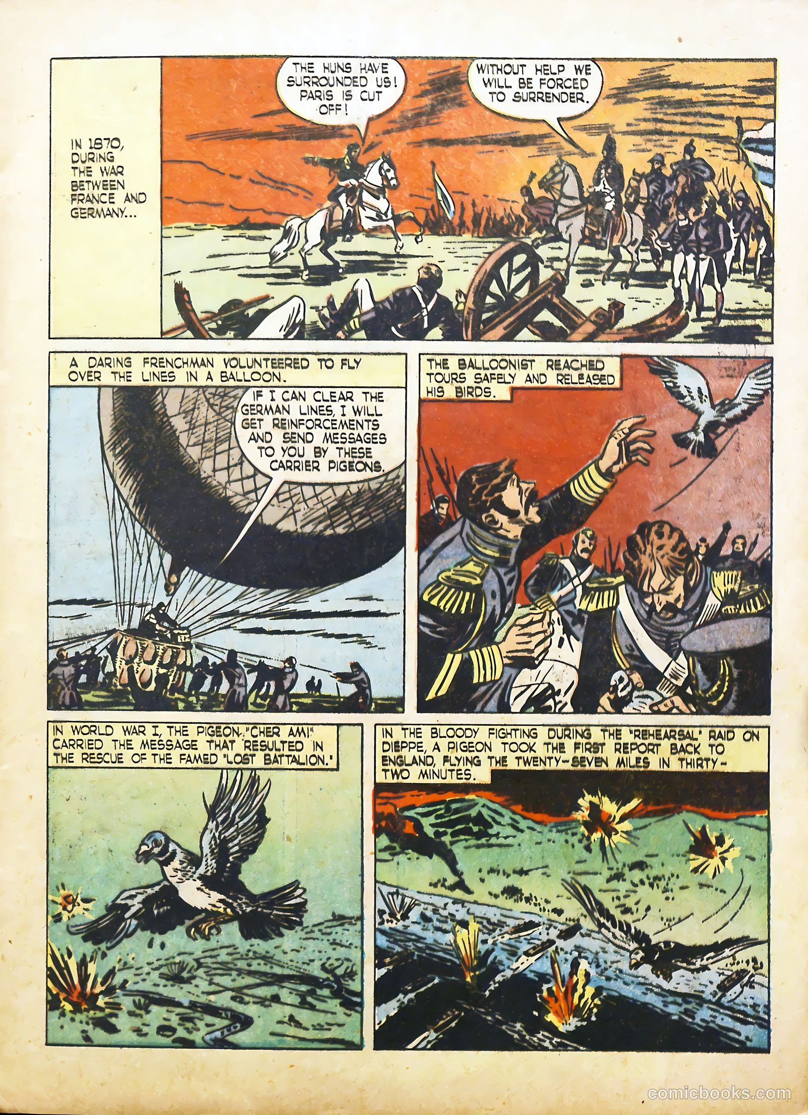 True Animal Picture-Stories #2 (1947) — page 9 of 35