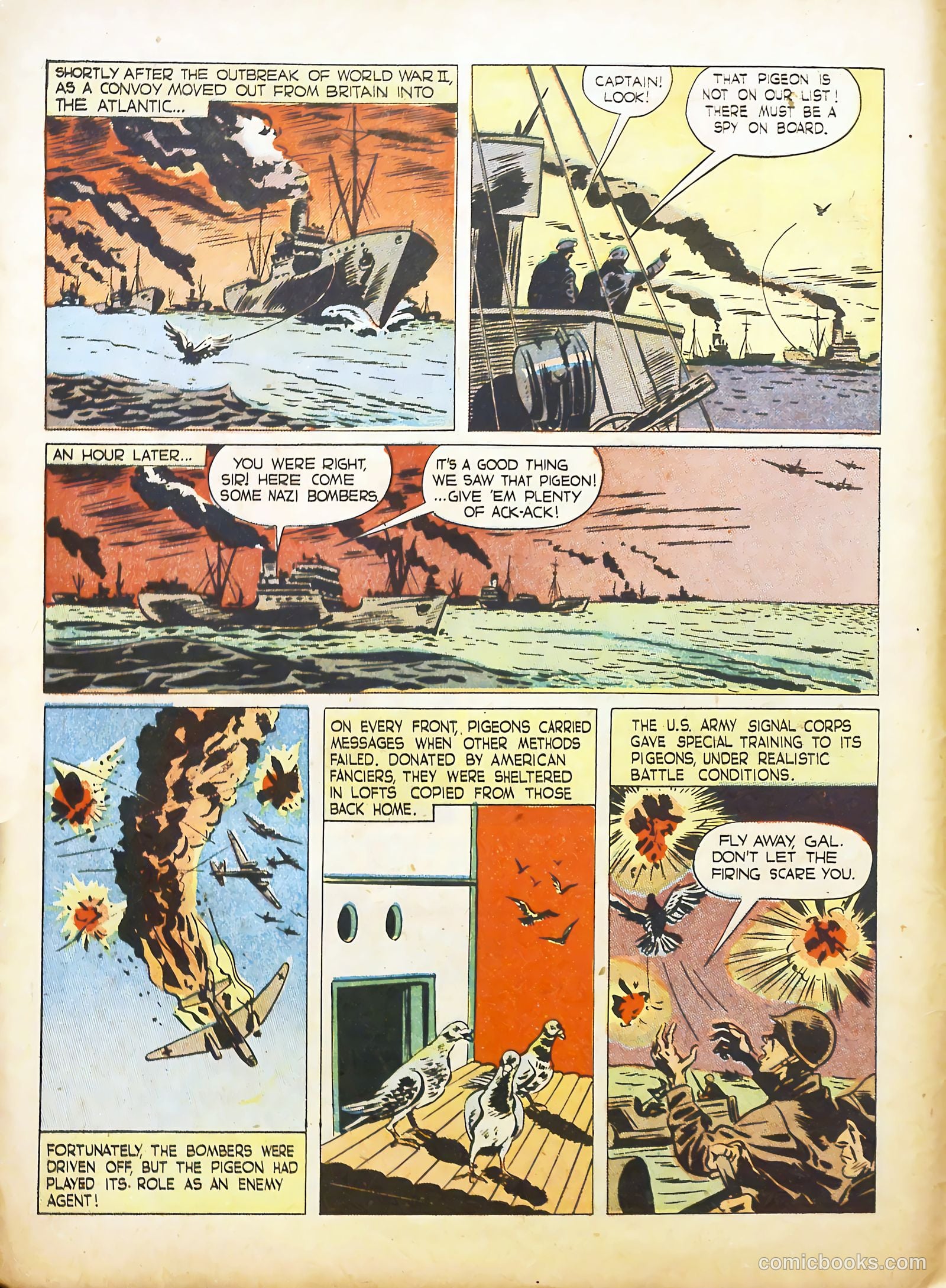 True Animal Picture-Stories #2 (1947) — page 10 of 35