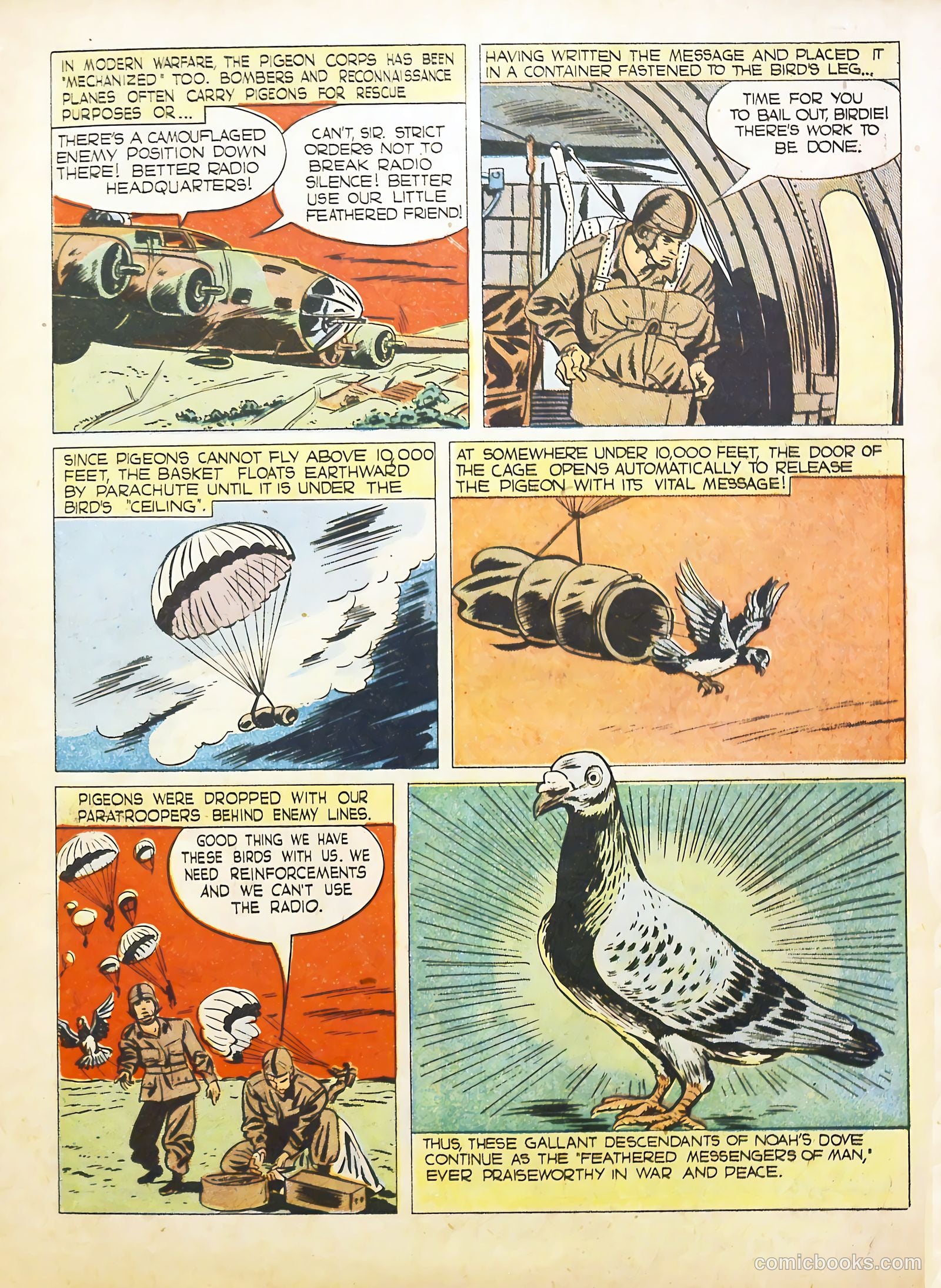 True Animal Picture-Stories #2 (1947) — page 11 of 35