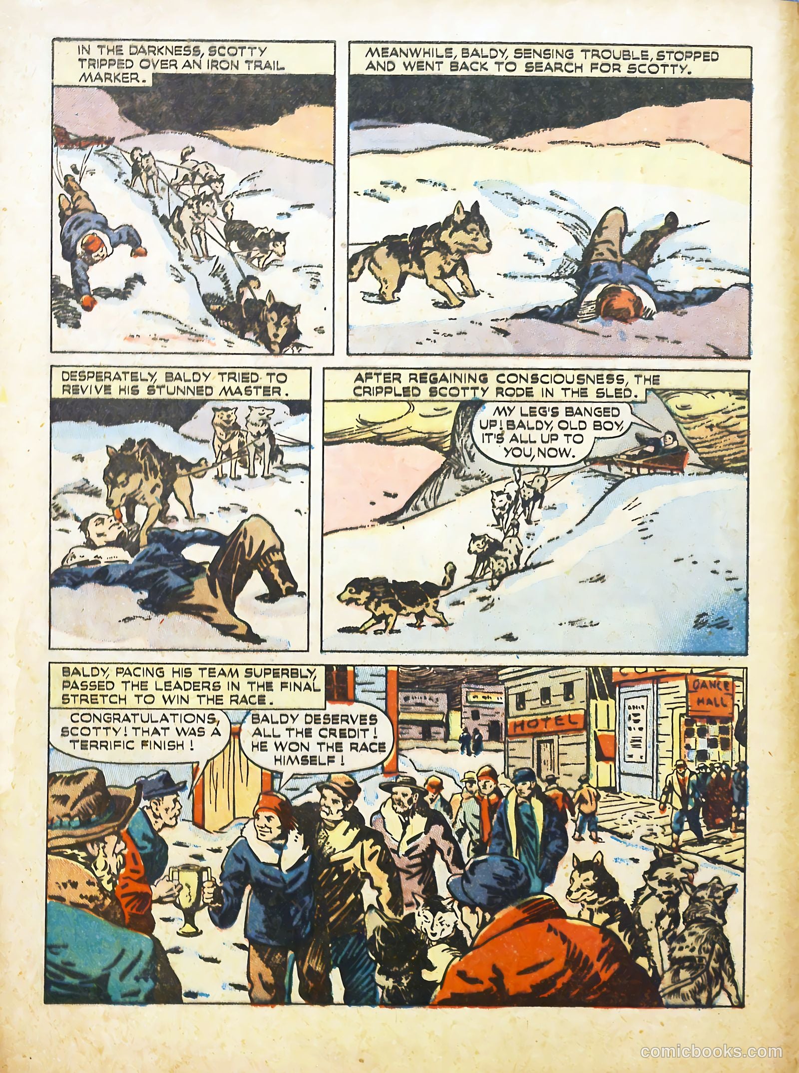 True Animal Picture-Stories #2 (1947) — page 14 of 35