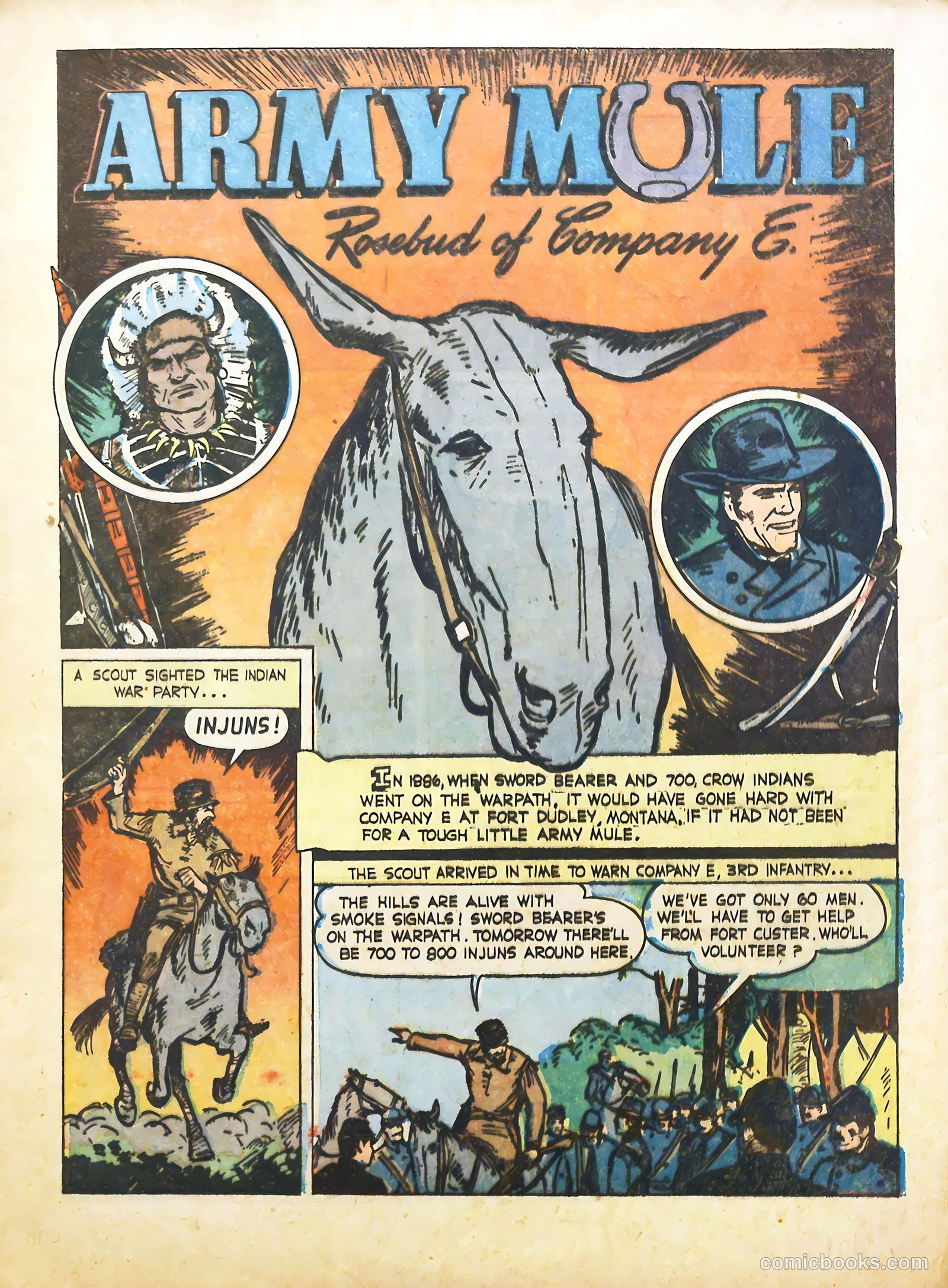 True Animal Picture-Stories #2 (1947) — page 15 of 35
