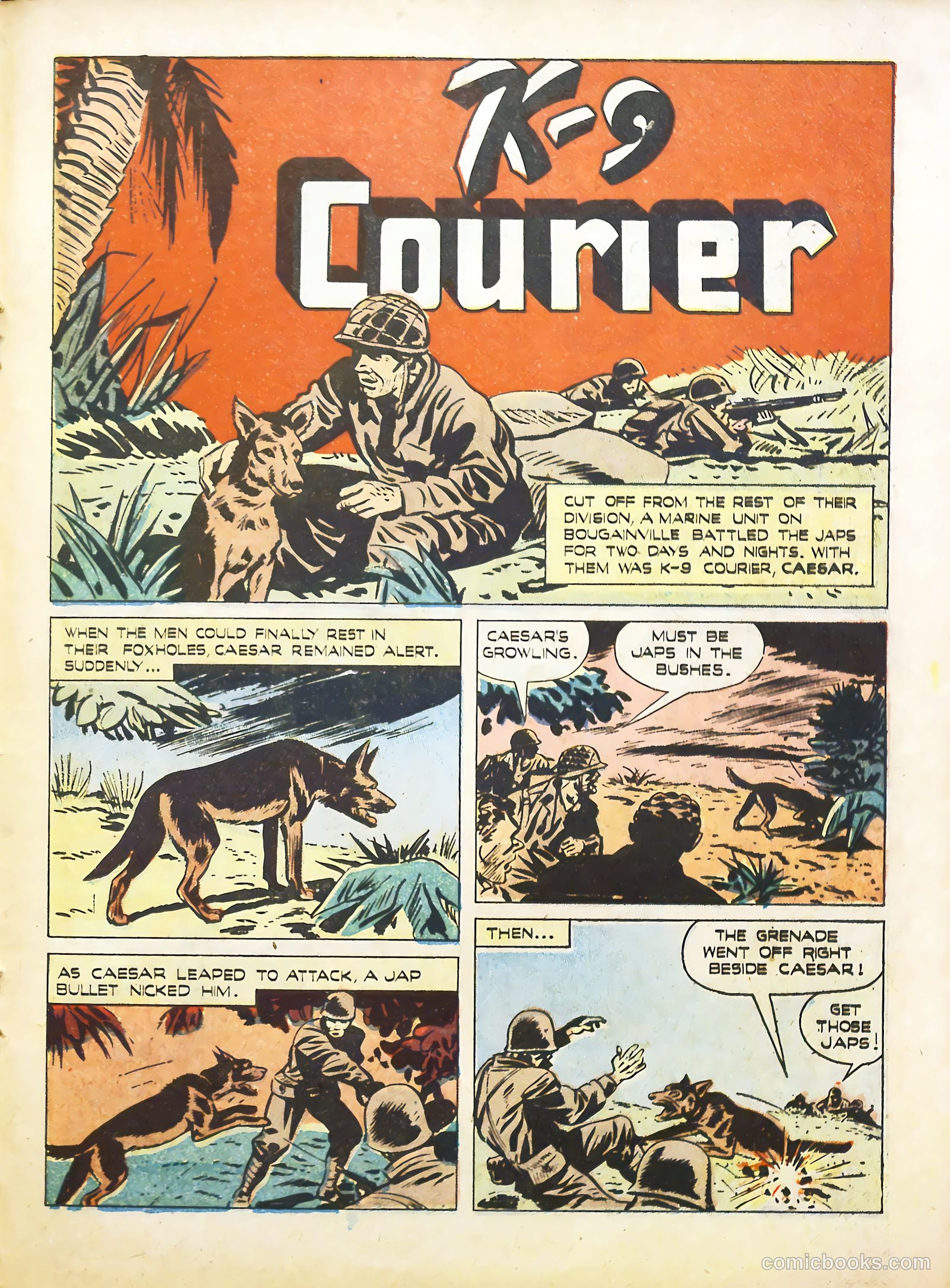 True Animal Picture-Stories #2 (1947) — page 19 of 35