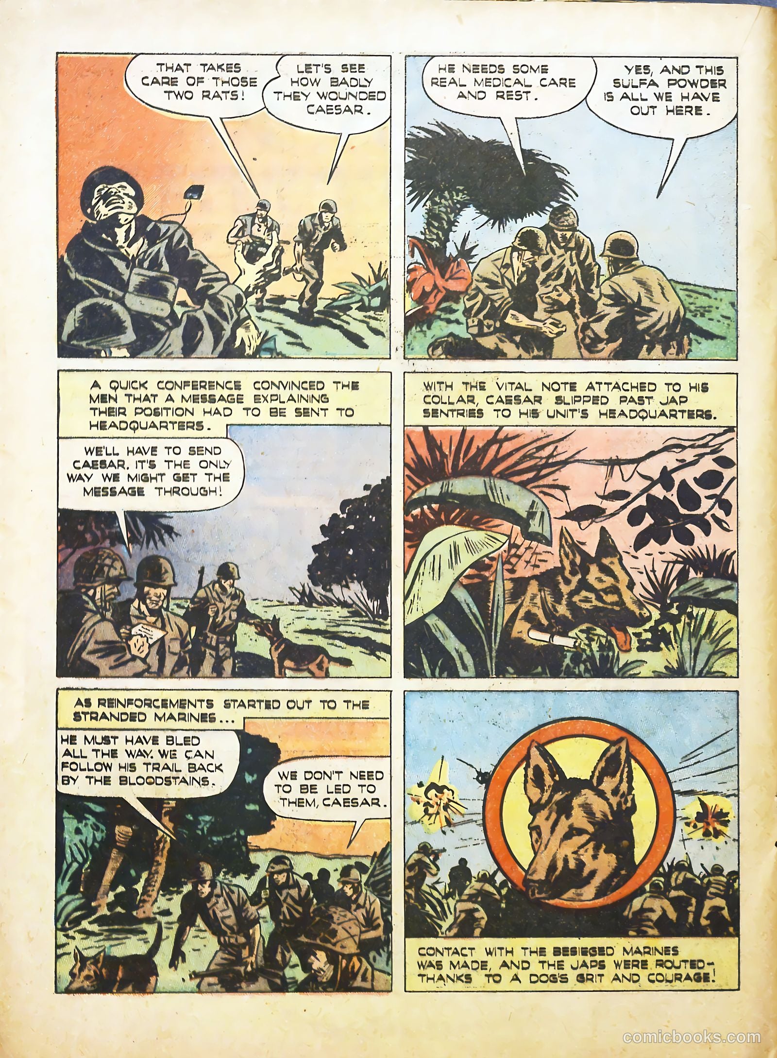 True Animal Picture-Stories #2 (1947) — page 20 of 35
