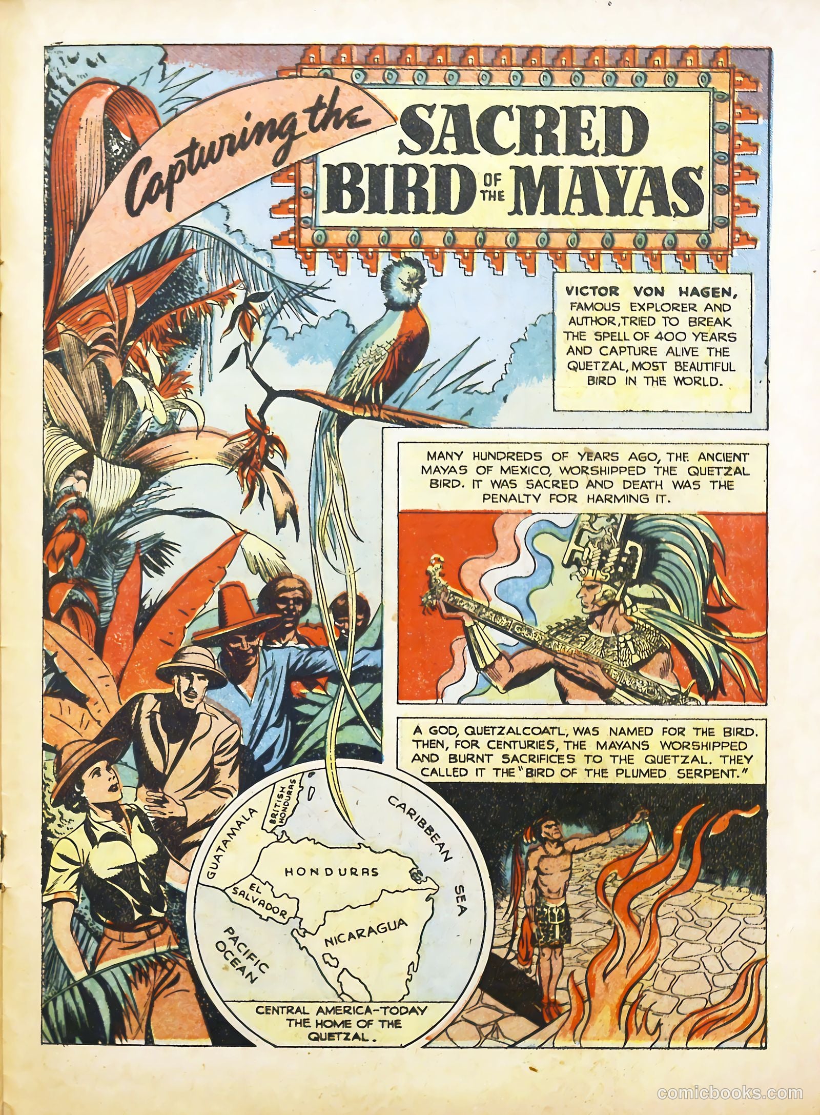 True Animal Picture-Stories #2 (1947) — page 21 of 35