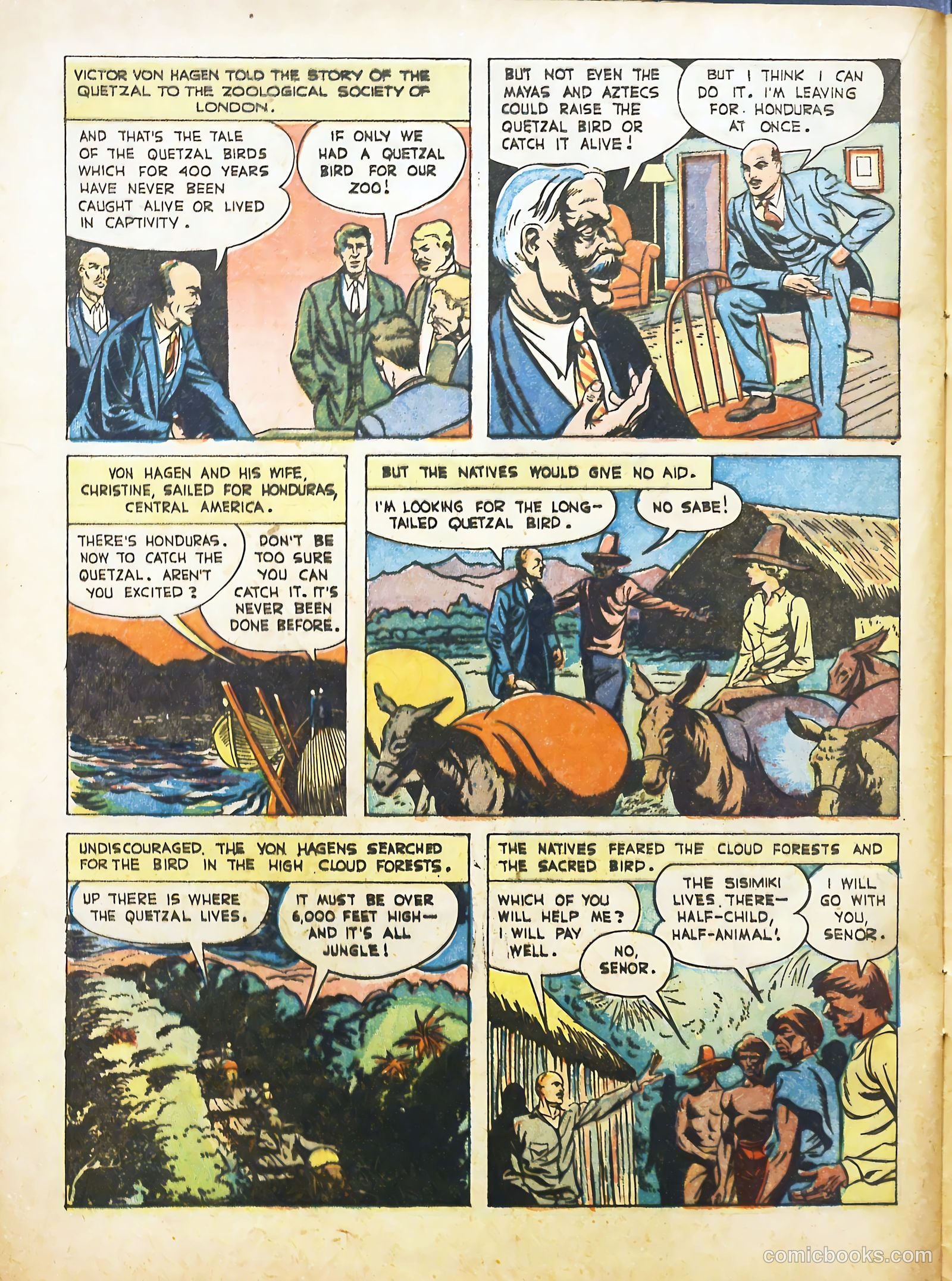 True Animal Picture-Stories #2 (1947) — page 22 of 35