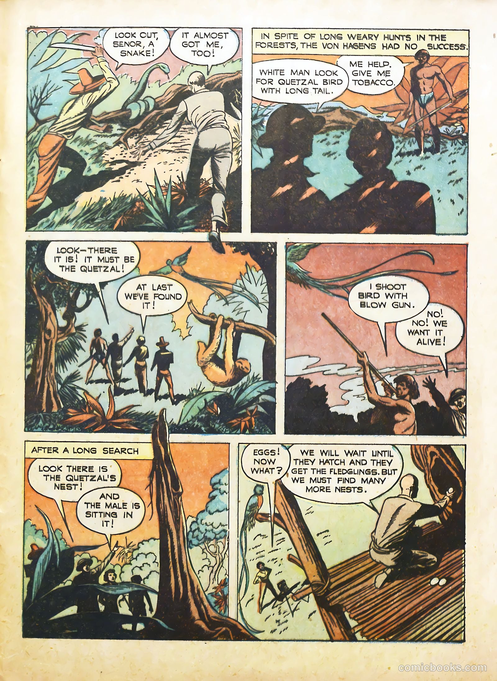 True Animal Picture-Stories #2 (1947) — page 23 of 35