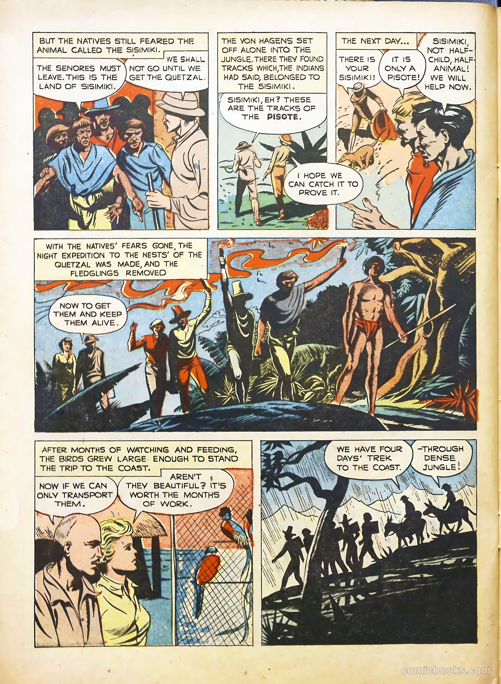 True Animal Picture-Stories #2 (1947) — page 24 of 35