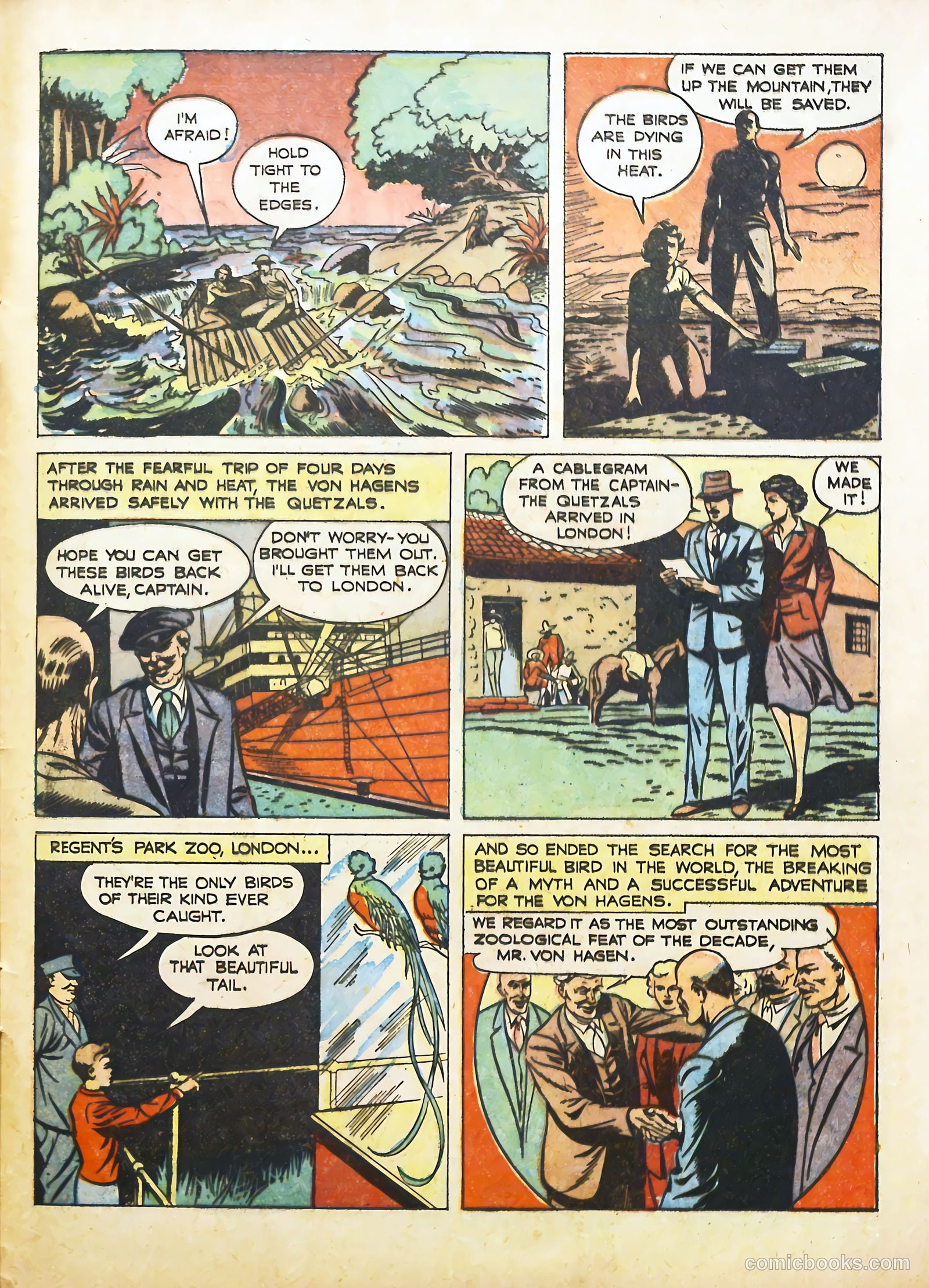True Animal Picture-Stories #2 (1947) — page 25 of 35