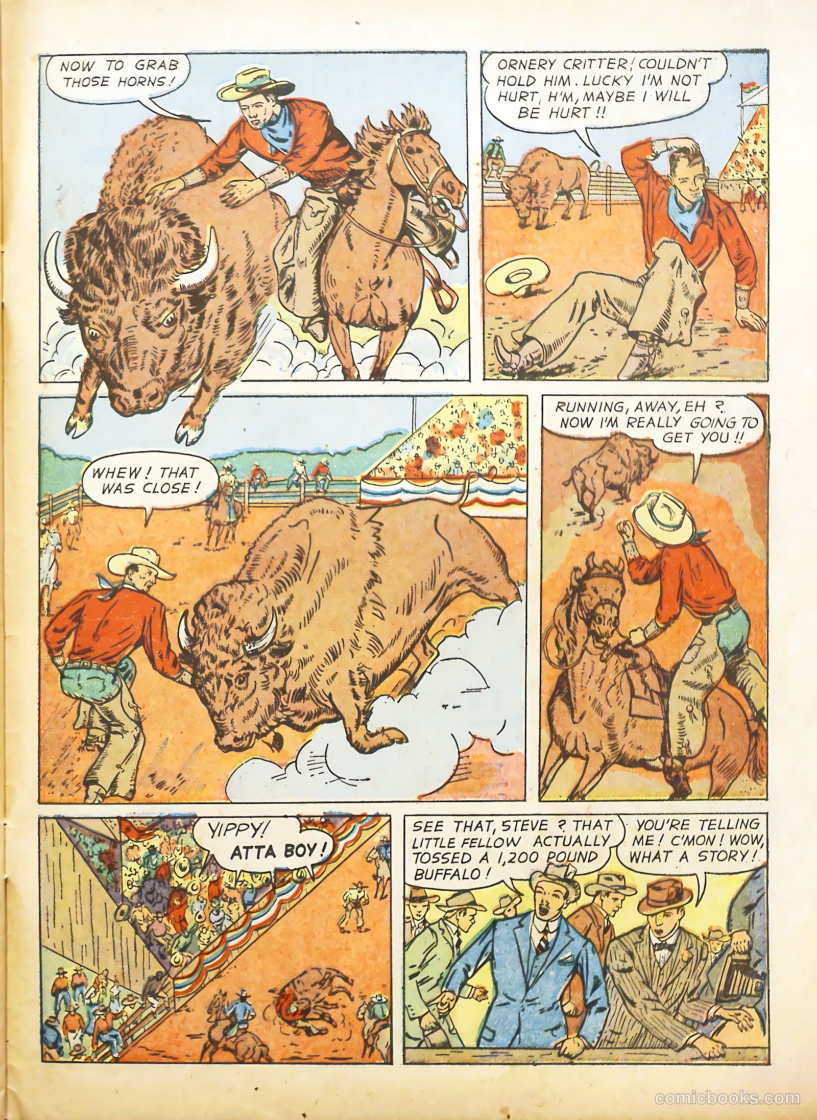 True Animal Picture-Stories #2 (1947) — page 27 of 35