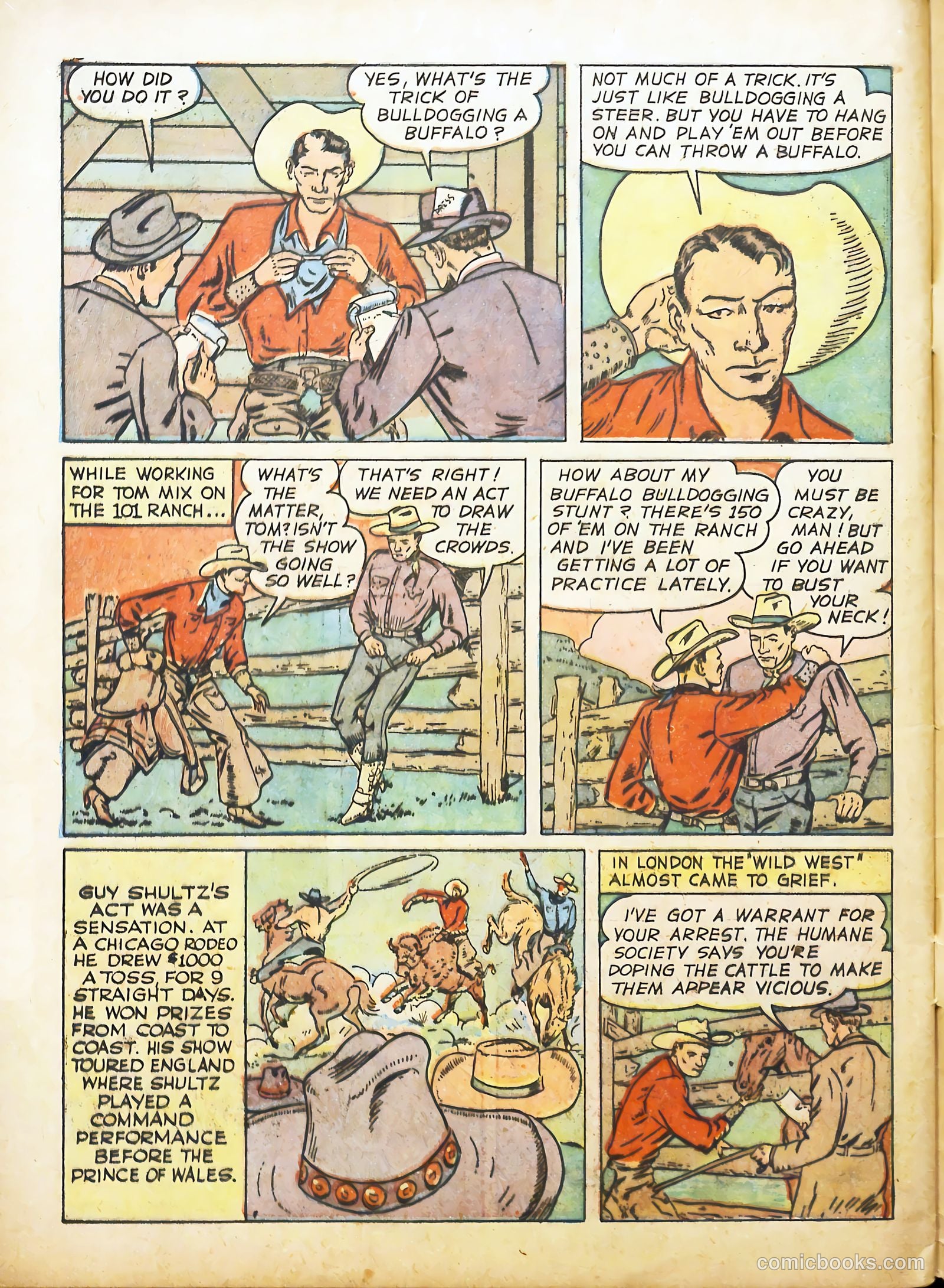 True Animal Picture-Stories #2 (1947) — page 28 of 35