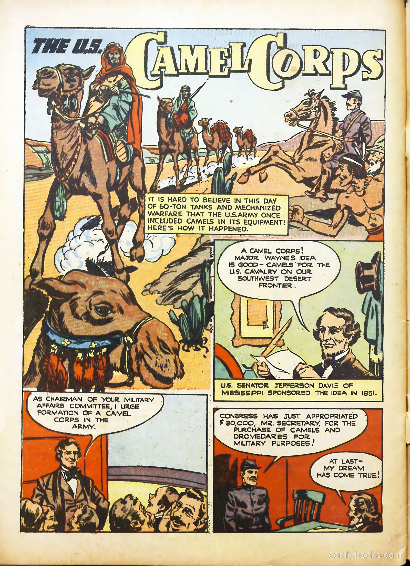 True Animal Picture-Stories #2 (1947) — page 31 of 35