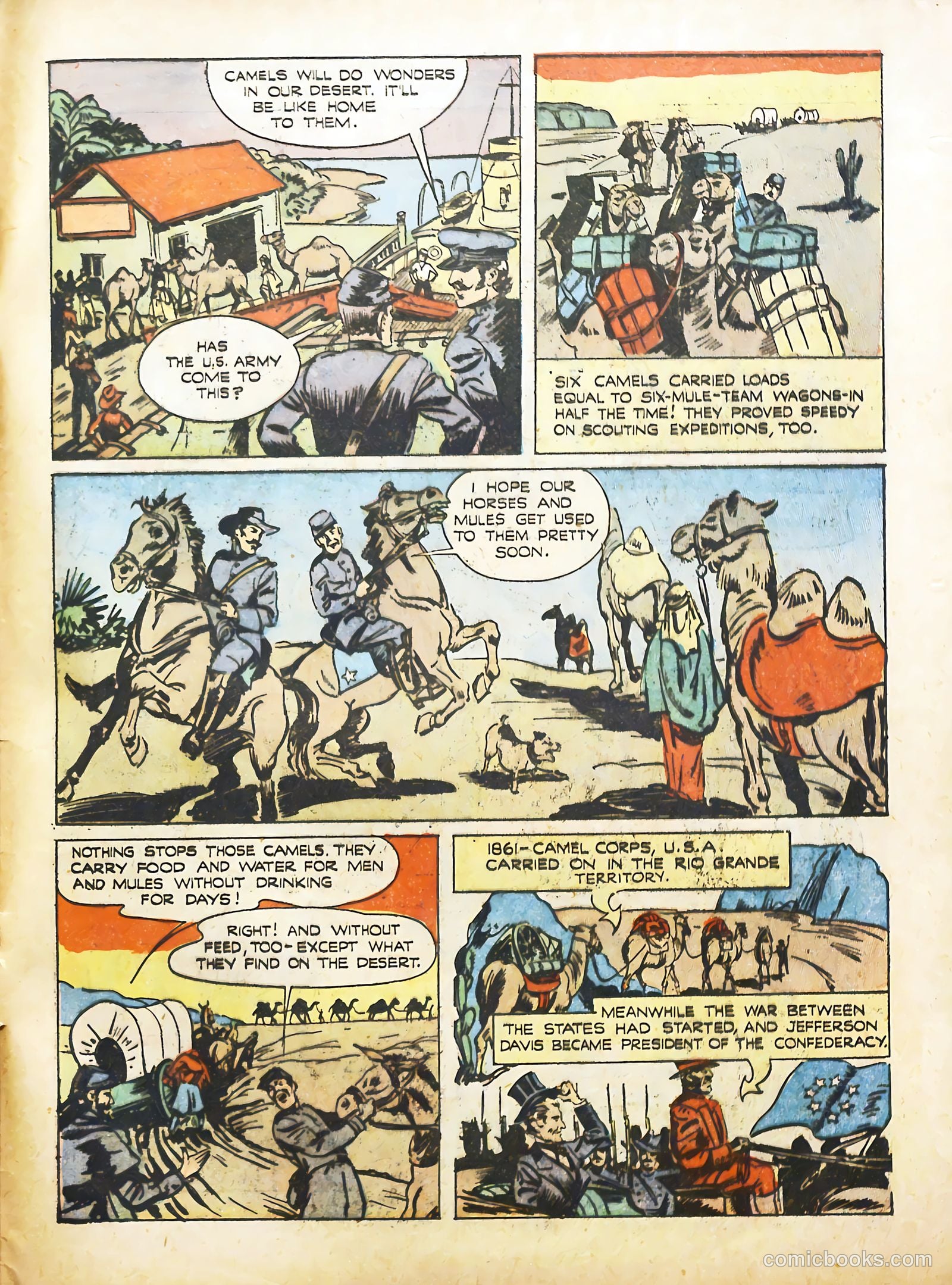 True Animal Picture-Stories #2 (1947) — page 32 of 35