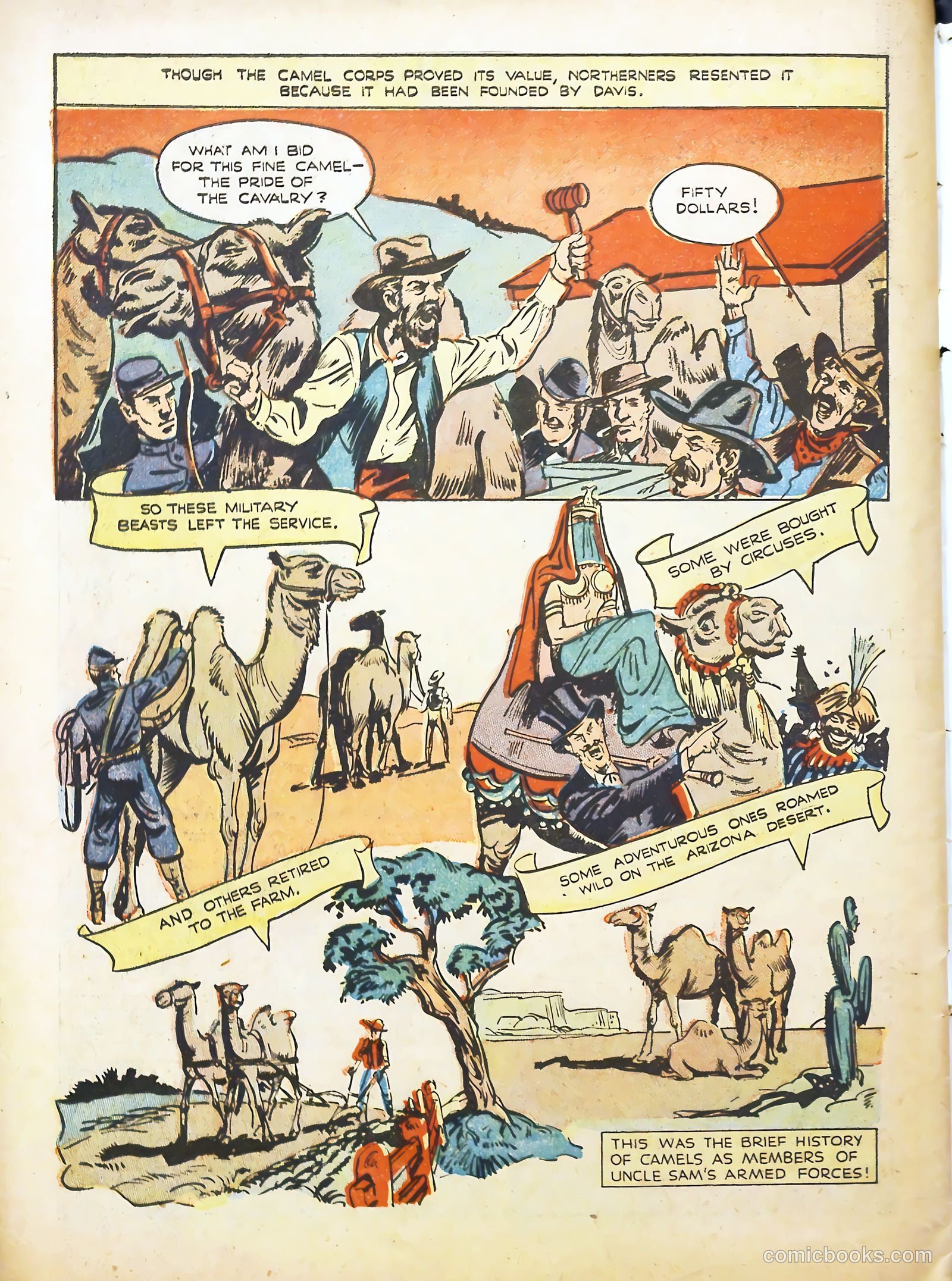 True Animal Picture-Stories #2 (1947) — page 33 of 35