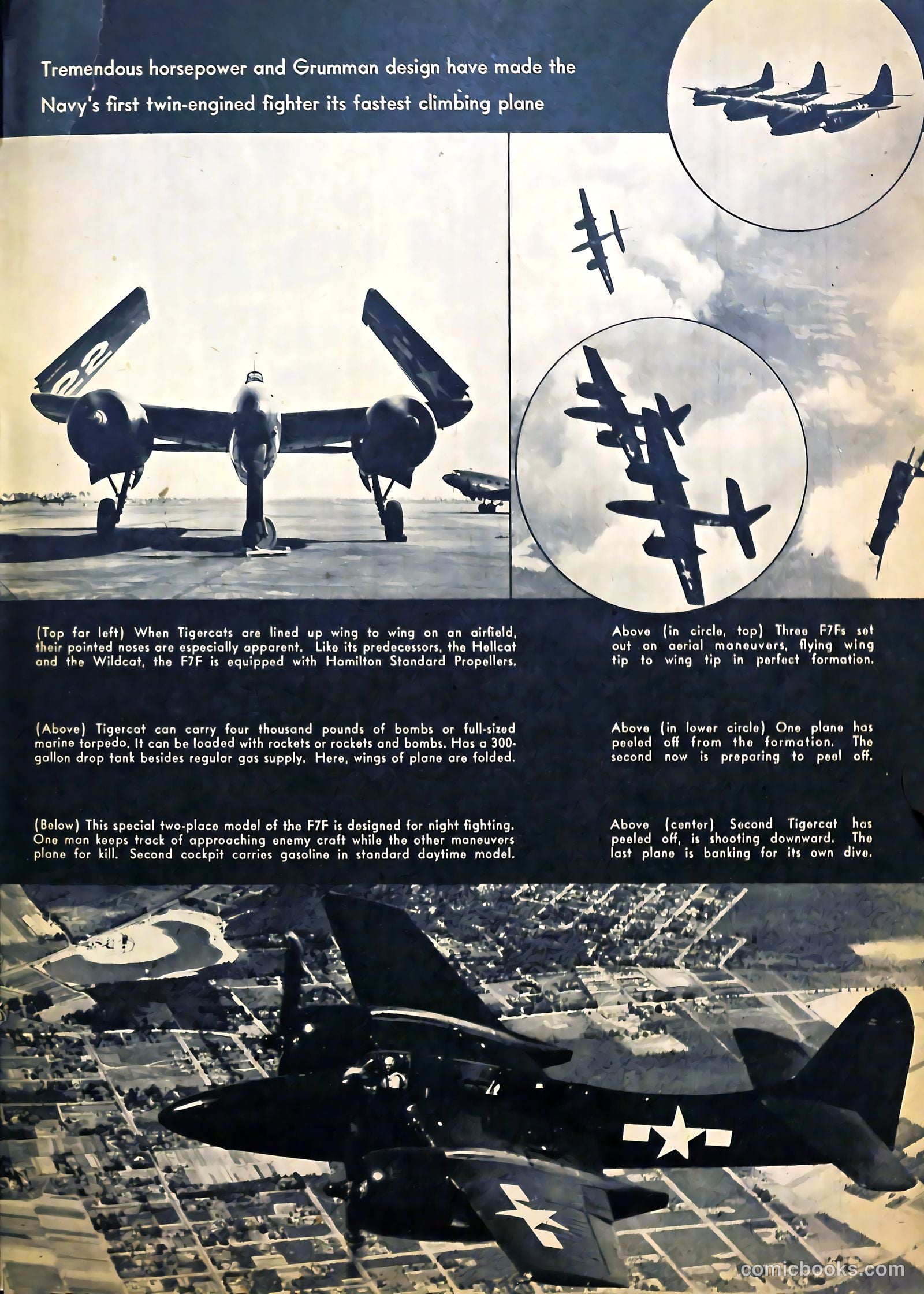 True Aviation Picture-Stories #11 (1946) — page 31 of 60