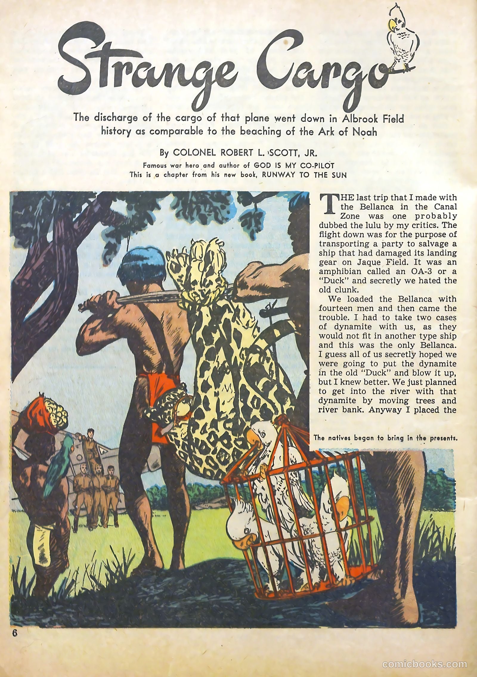 True Aviation Picture-Stories #14 (1946) — page 6 of 63
