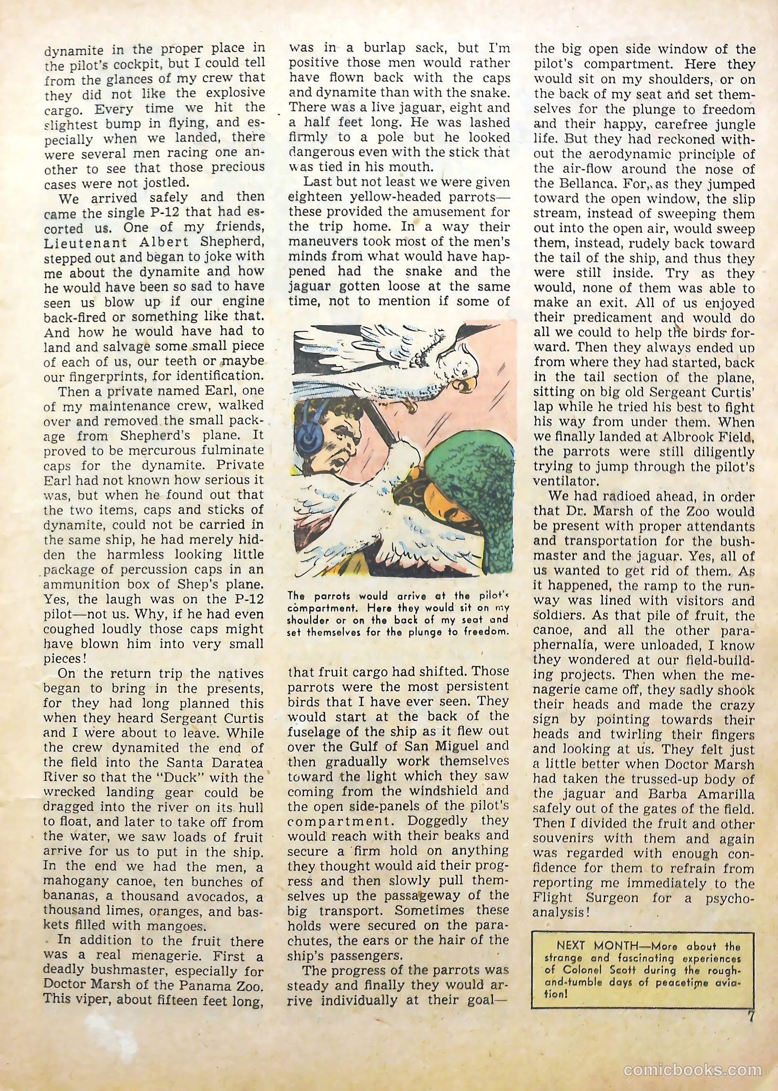 True Aviation Picture-Stories #14 (1946) — page 7 of 63