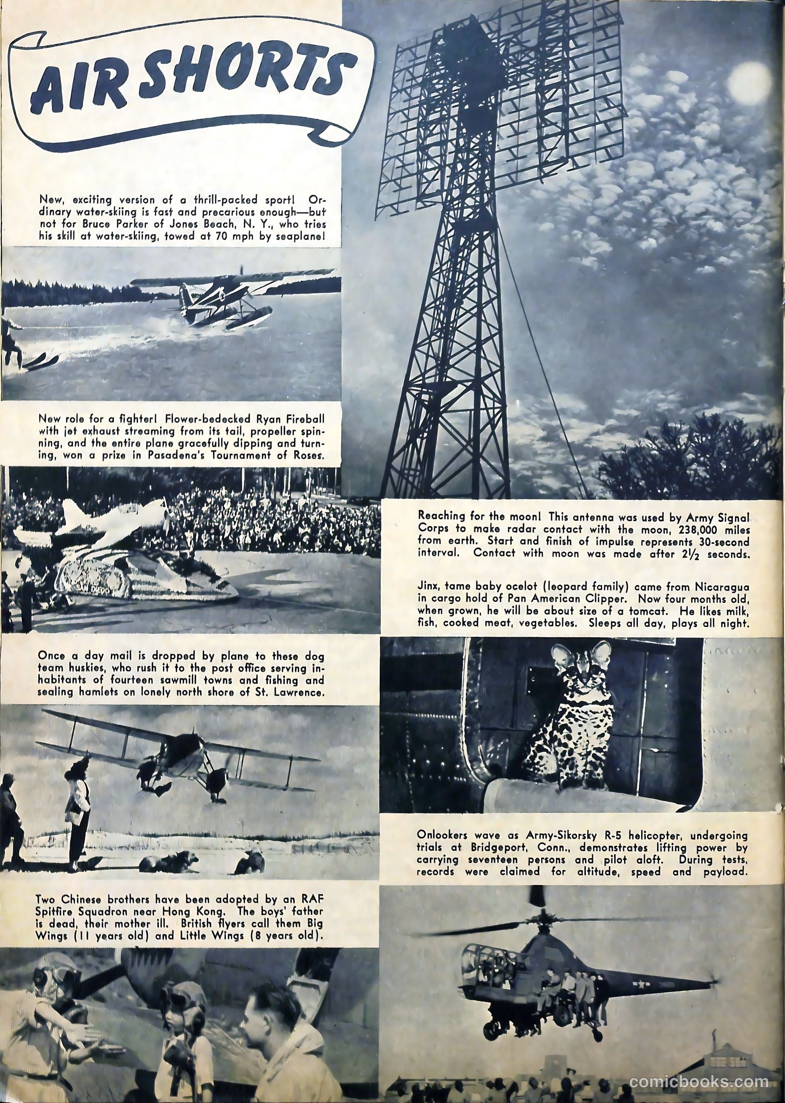 True Aviation Picture-Stories #14 (1946) — page 29 of 63