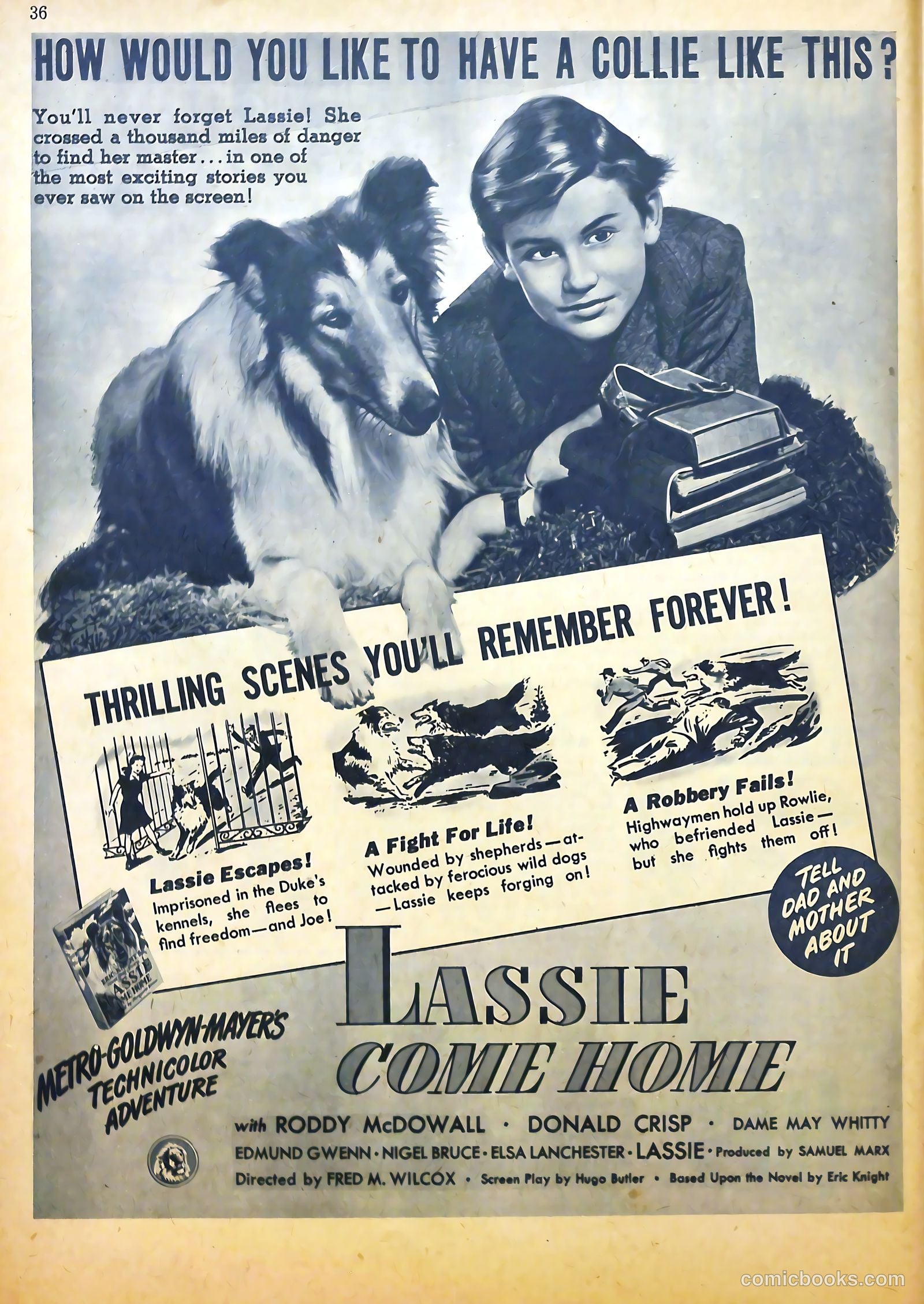 True Aviation Picture-Stories #6 (1943) — page 39 of 65