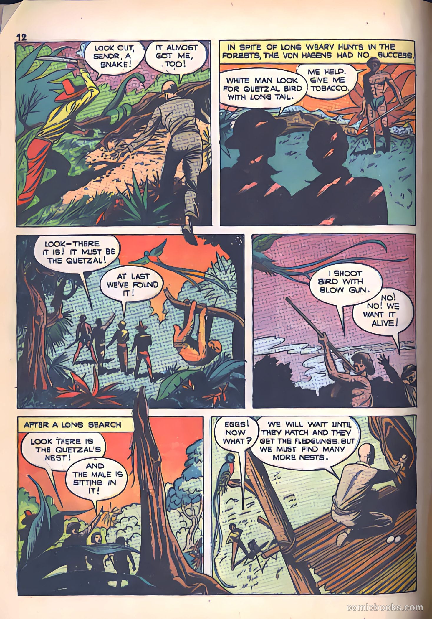 True Comics #19 (1942) — page 12 of 68
