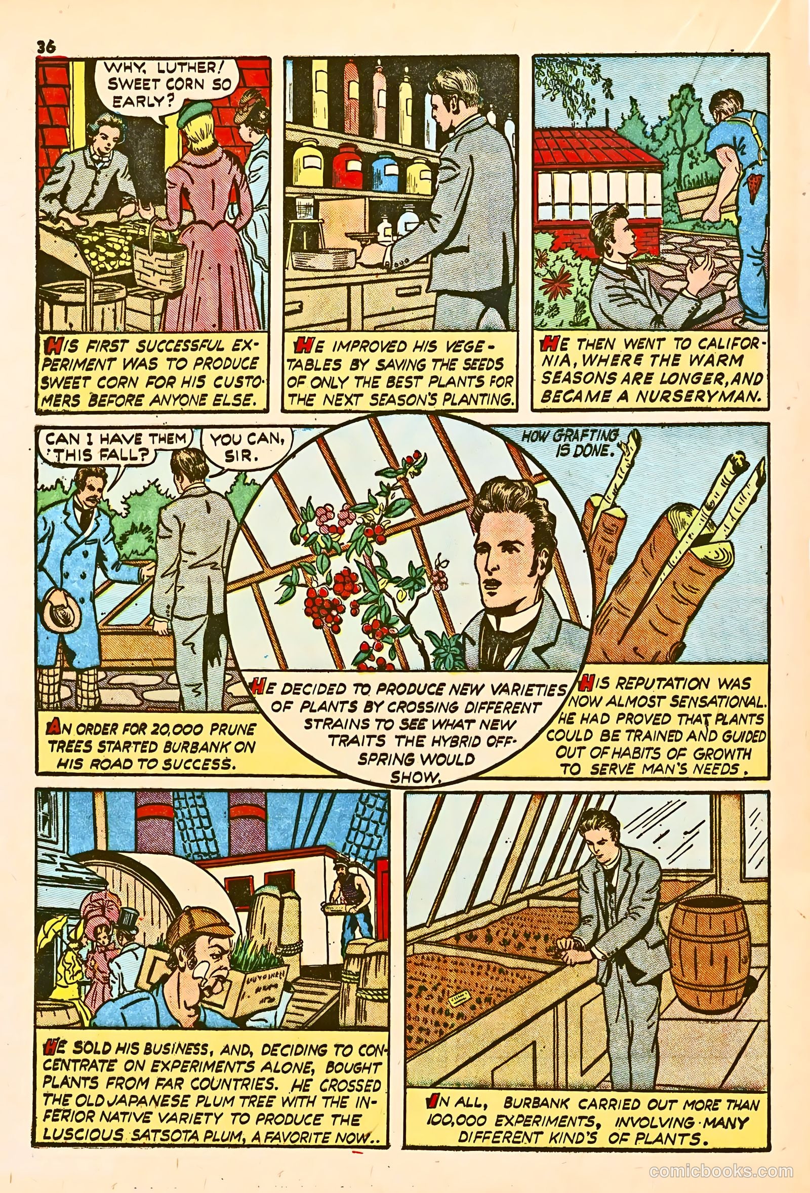 True Comics #2 (1941) — page 37 of 67