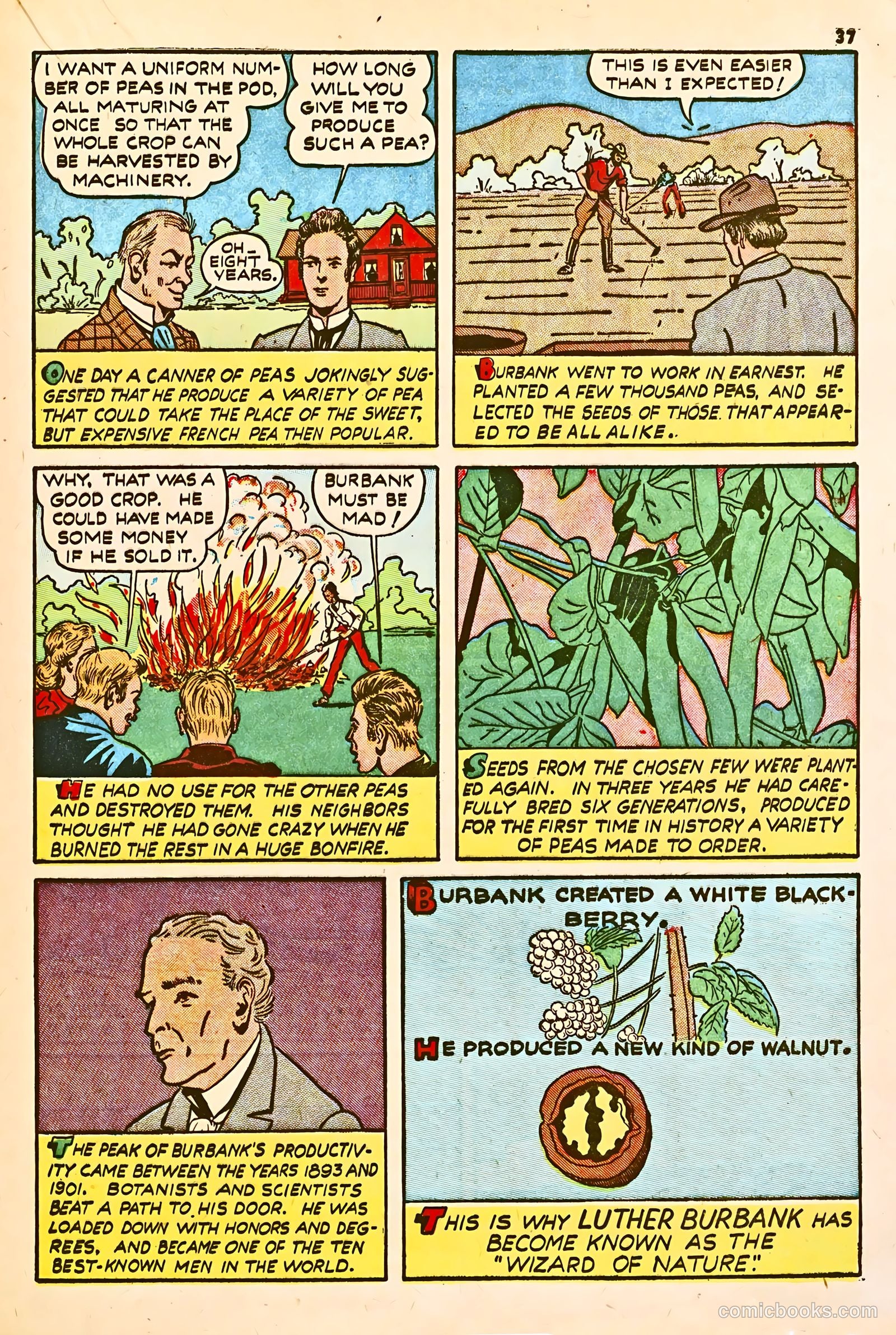 True Comics #2 (1941) — page 38 of 67
